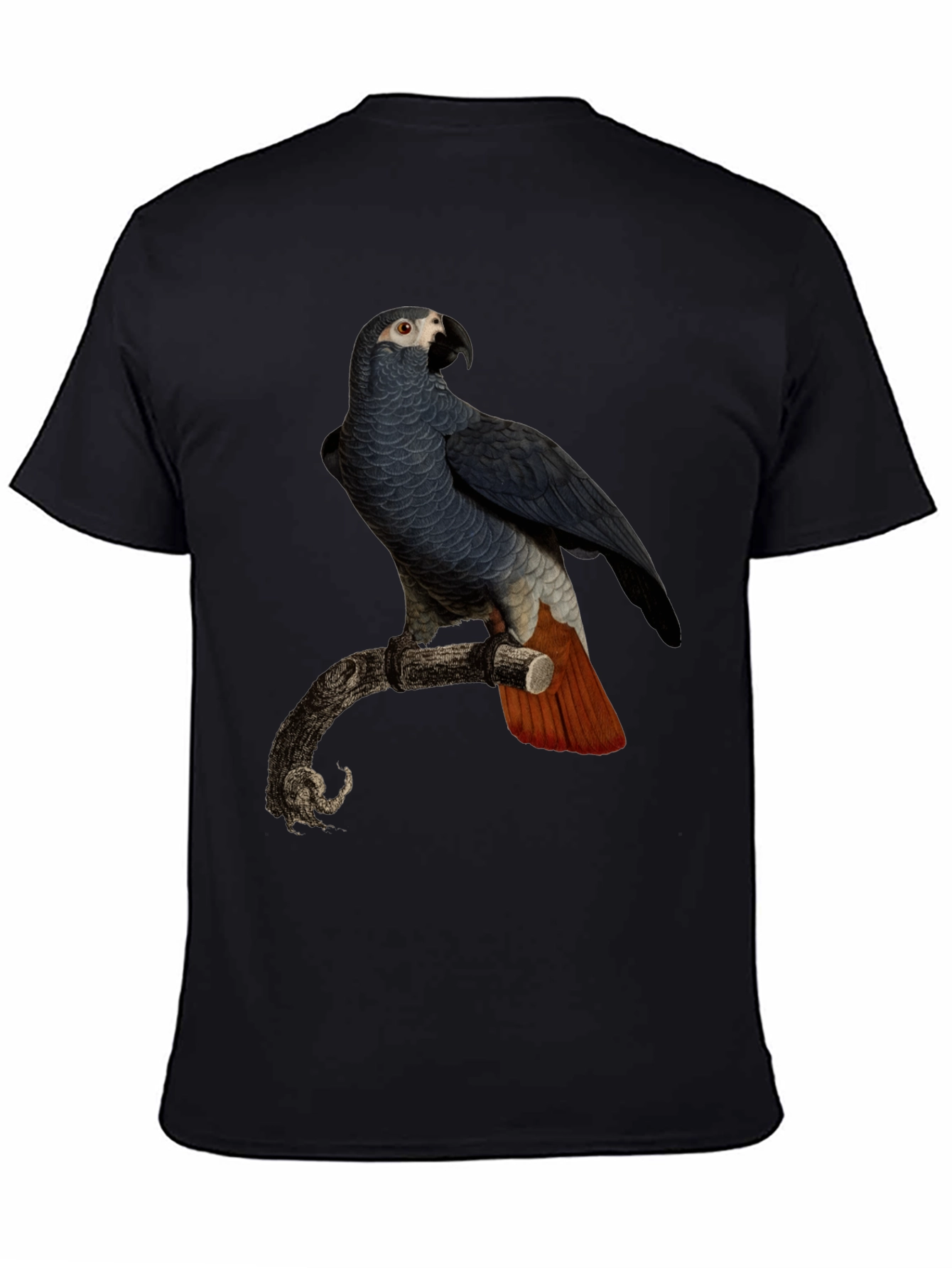 Black Parrot Graphic T-Shirt - Men's Black Tee view 4