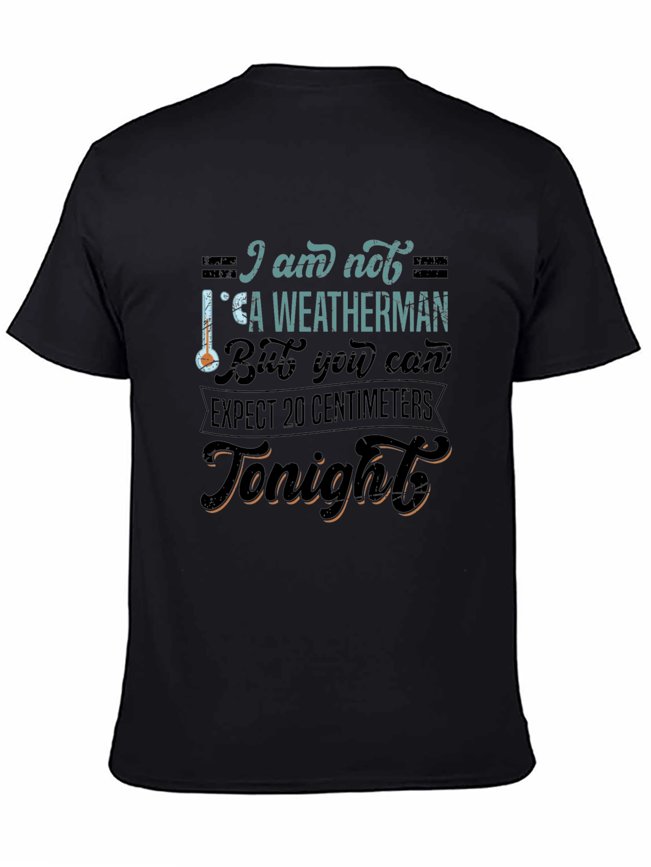 Black Funny Weatherman Graphic Tee - Expect 20 Centimeters view 4