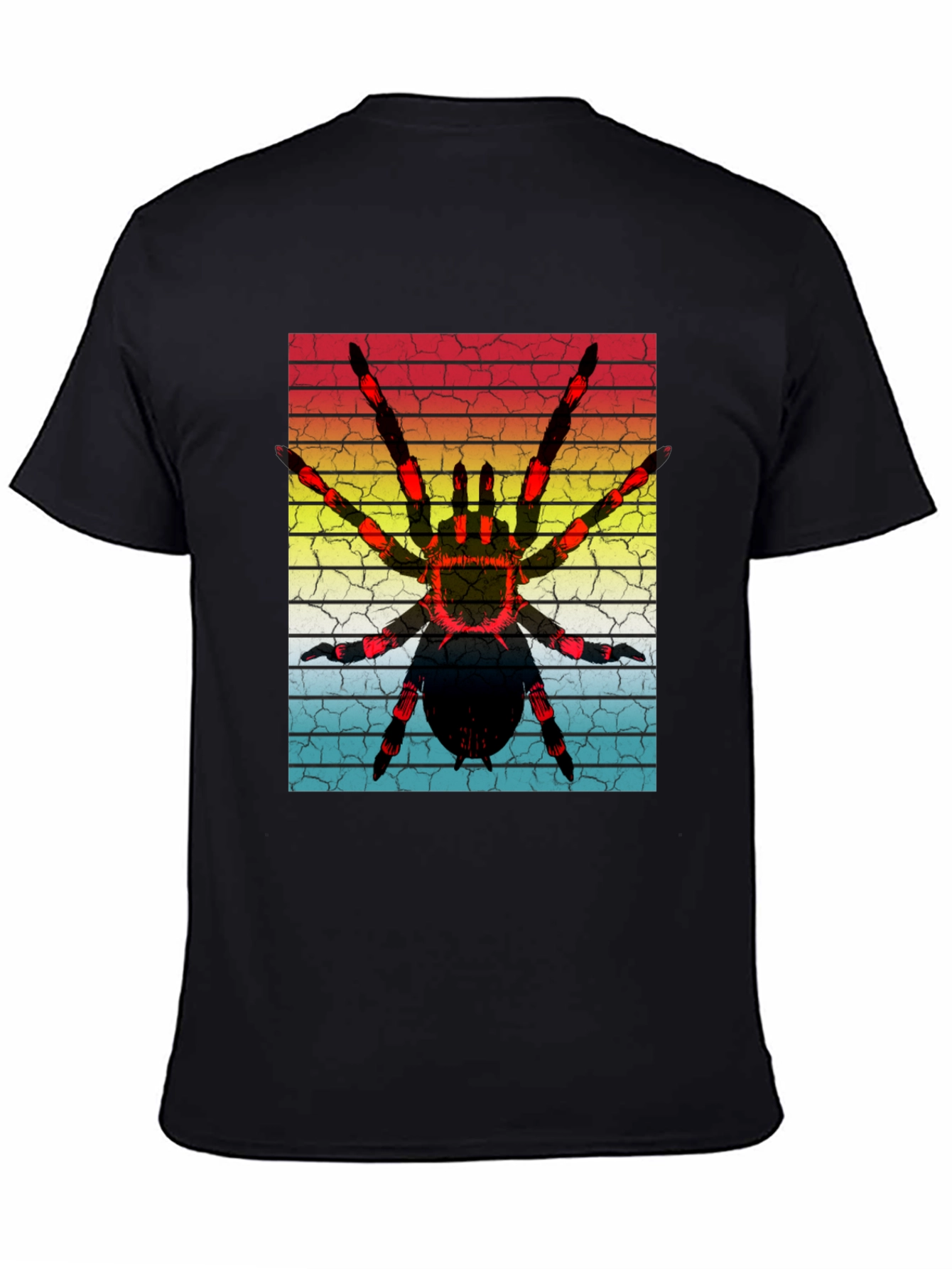 Black Vintage Spider Graphic T-Shirt view 4
