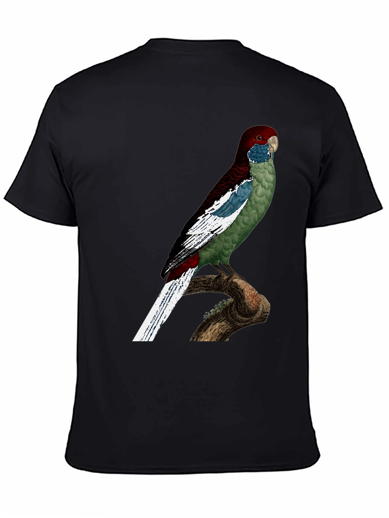 Black Parrot Graphic T-Shirt - Unique Bird Design view 4