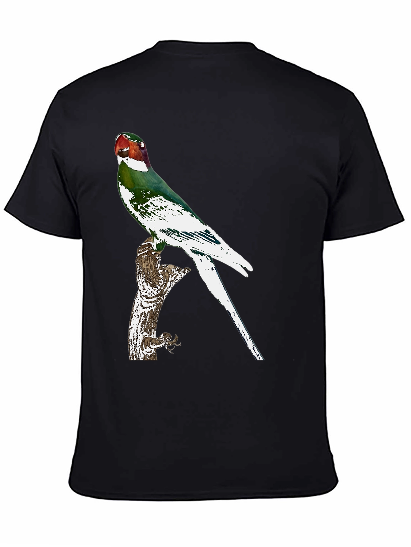 Black Parrot Graphic Tee - Black Cotton T-Shirt view 4