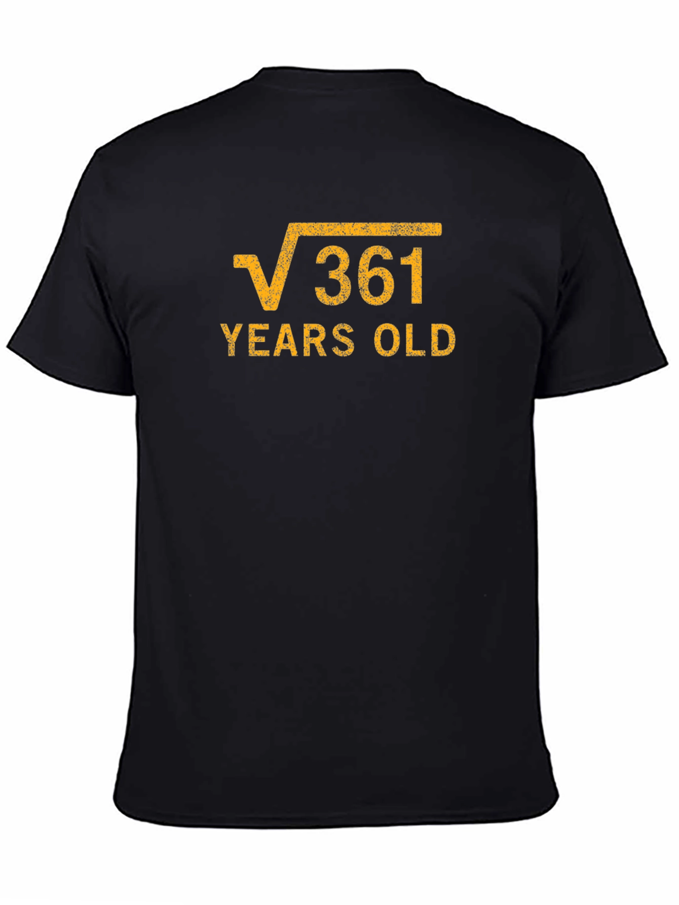 Black Funny 19th Birthday T-Shirt, Root 361 Years Old, Math Humor Tee view 4