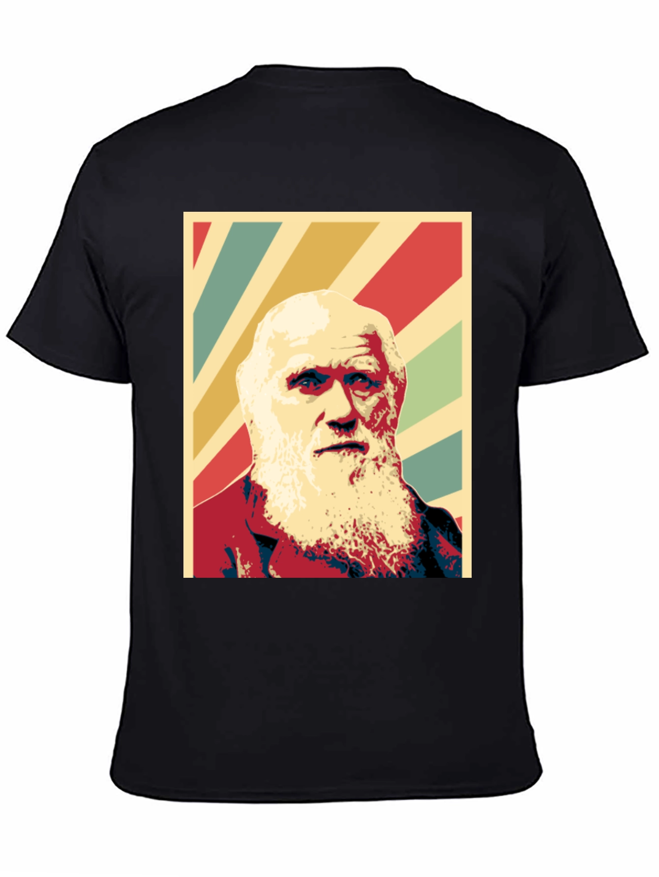 Black Darwin Graphic Print T-Shirt - Black view 4