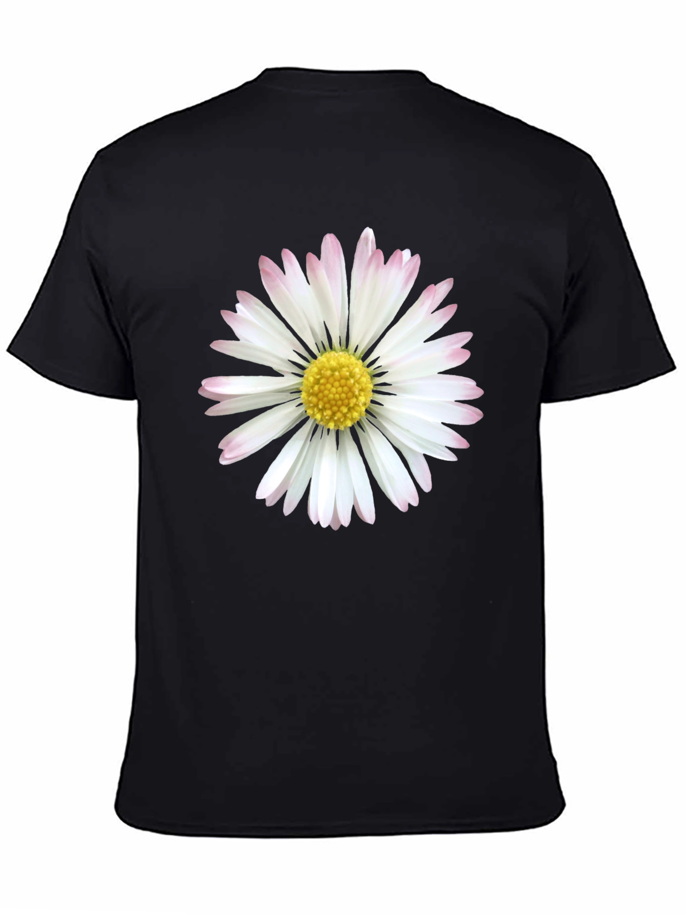 Black Daisy Flower Graphic Tee - Black Cotton Comfort view 4