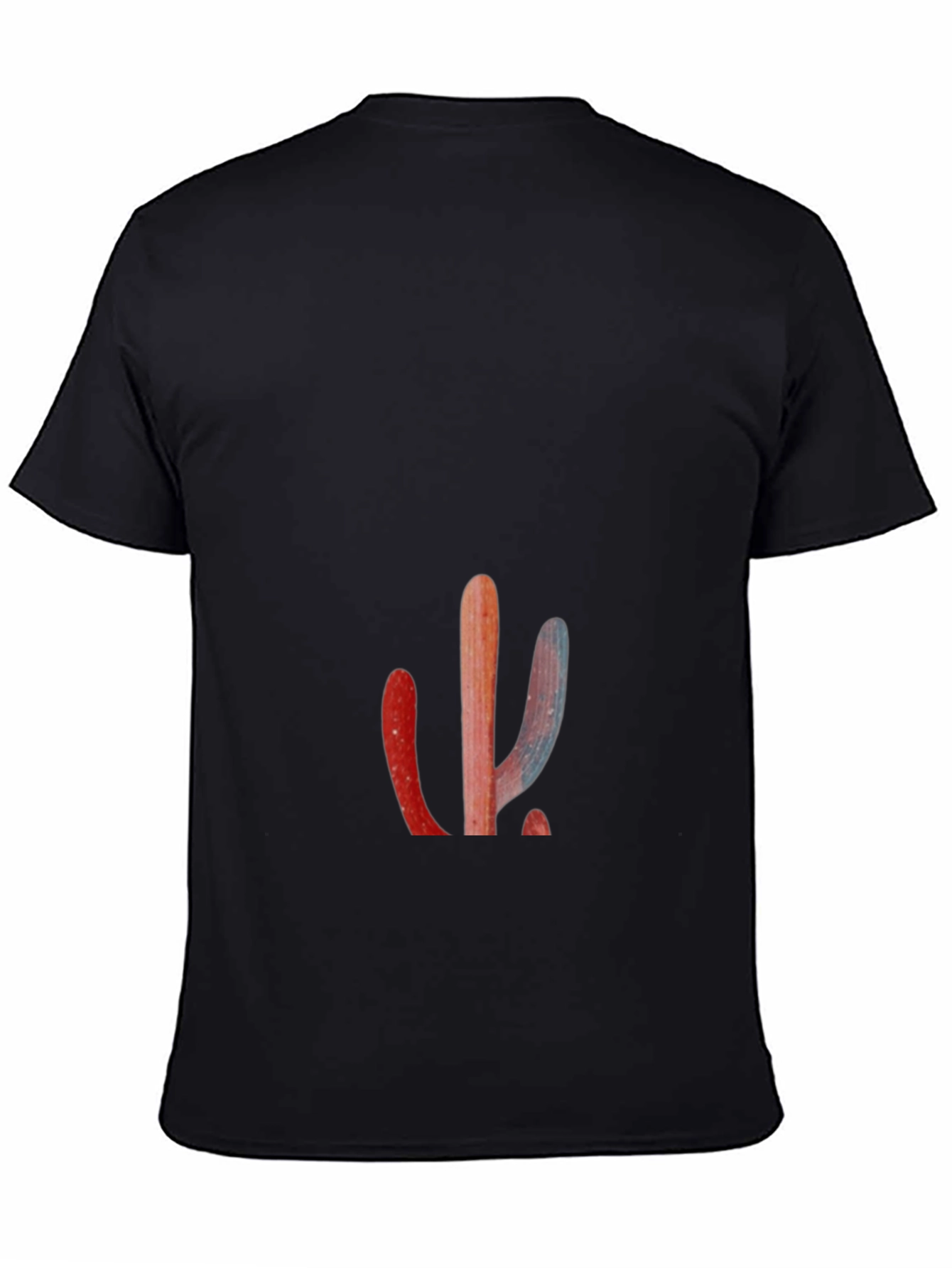Black Cactus Graphic Print Black T-Shirt view 4