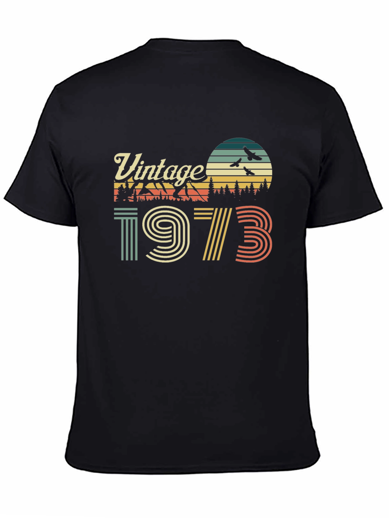 Black Vintage 1973 Graphic T-Shirt view 4