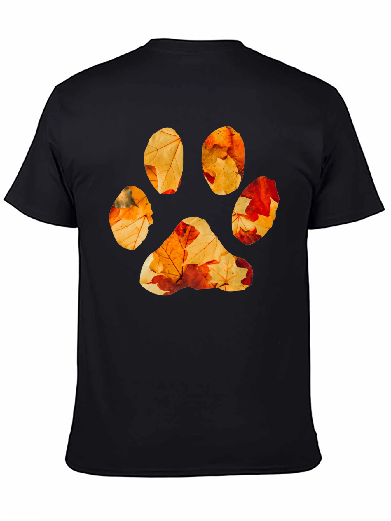 Black Fall Leaves Paw Print Graphic Tee - Black Cotton view 4