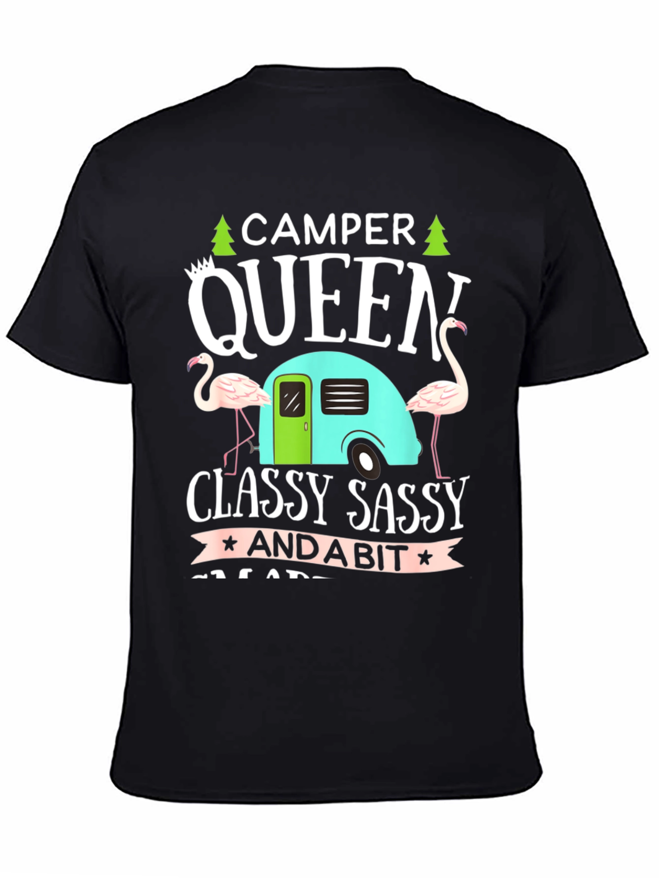 Camper Queen T-Shirt - Classy Sassy Graphic Tee - 4