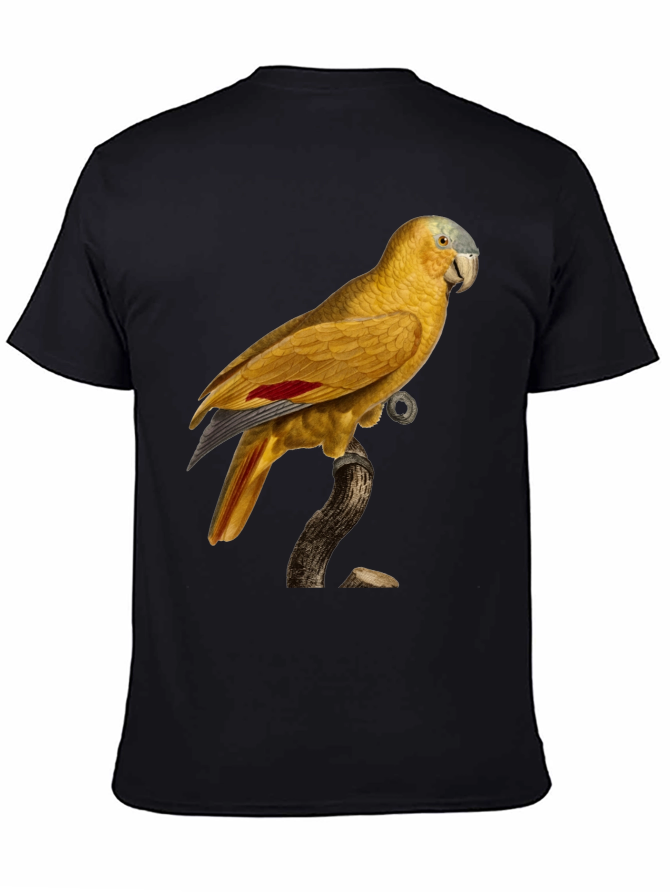 Black Parrot Graphic Black T-Shirt view 4