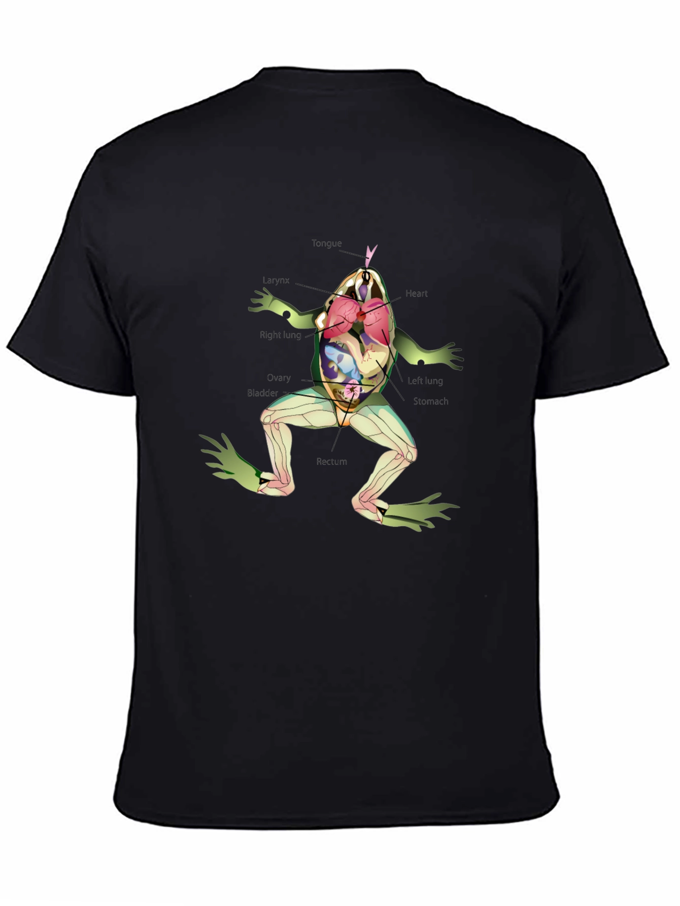 Black Anatomy Frog T-Shirt view 4