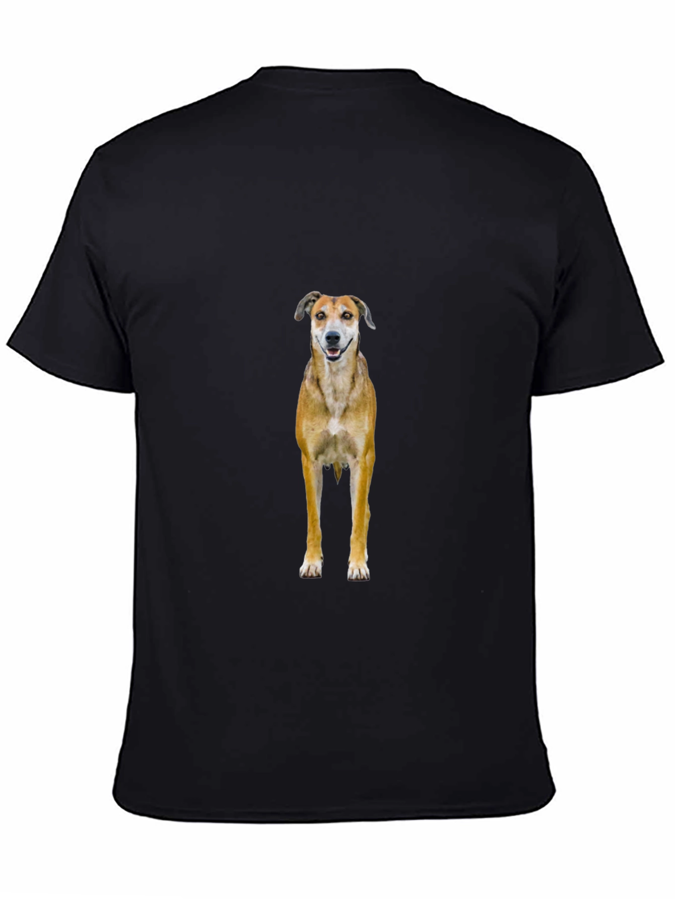 Black Dog Graphic Black T-Shirt view 4