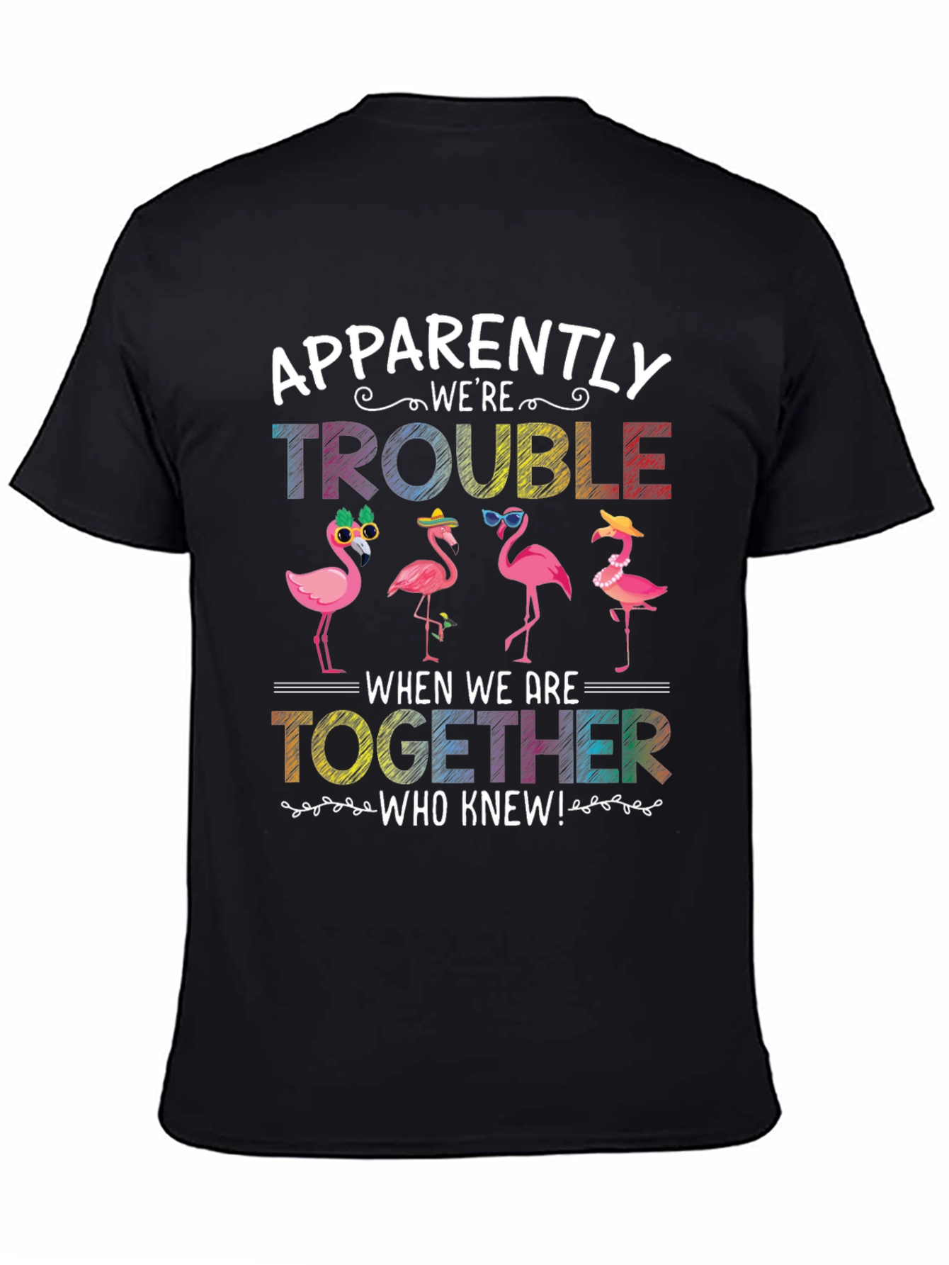 Black Flamingo Trouble Graphic T-Shirt view 4