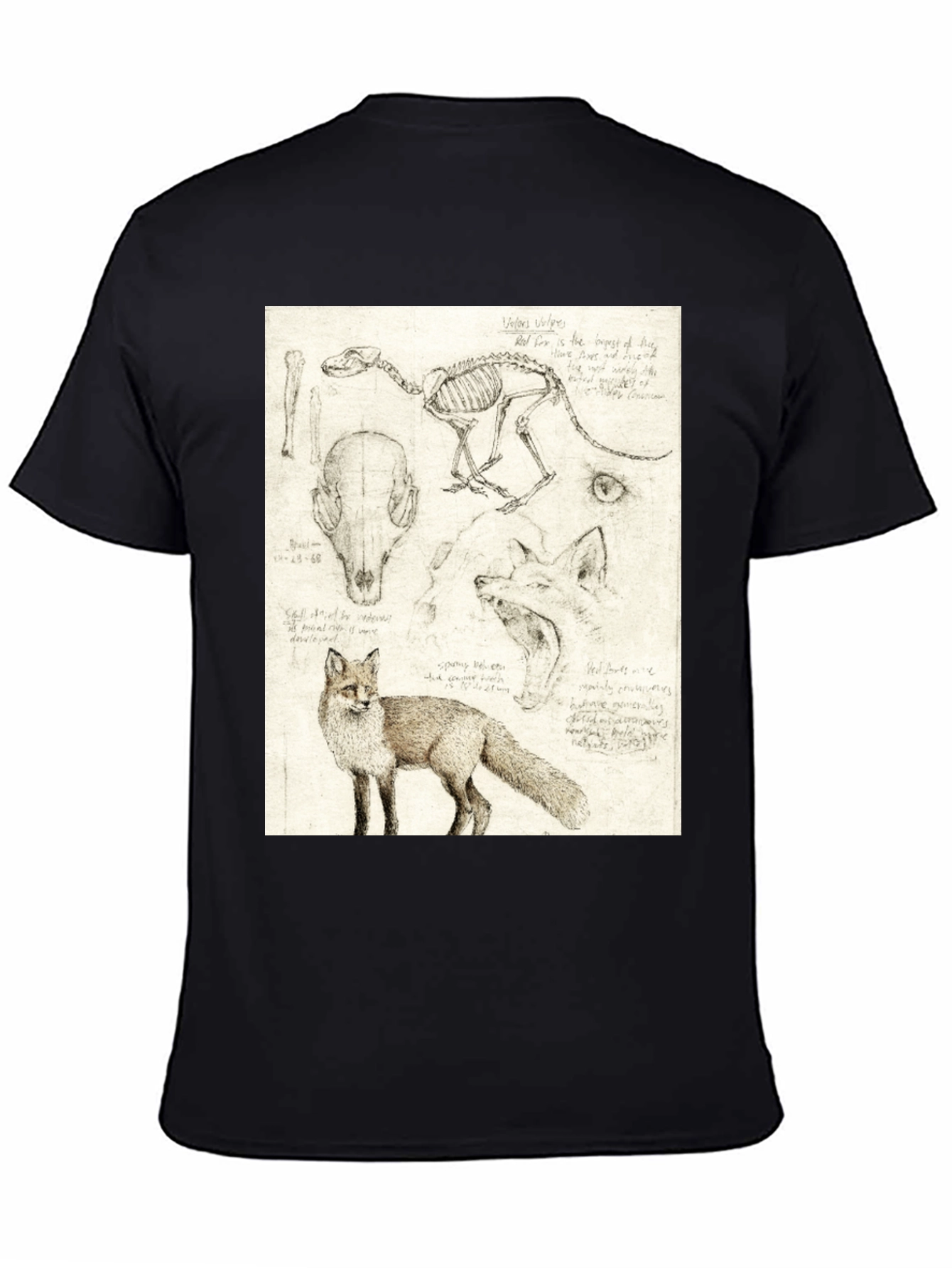 Black Anatomical Fox Print Tee - Artistic Unisex T-Shirt view 4