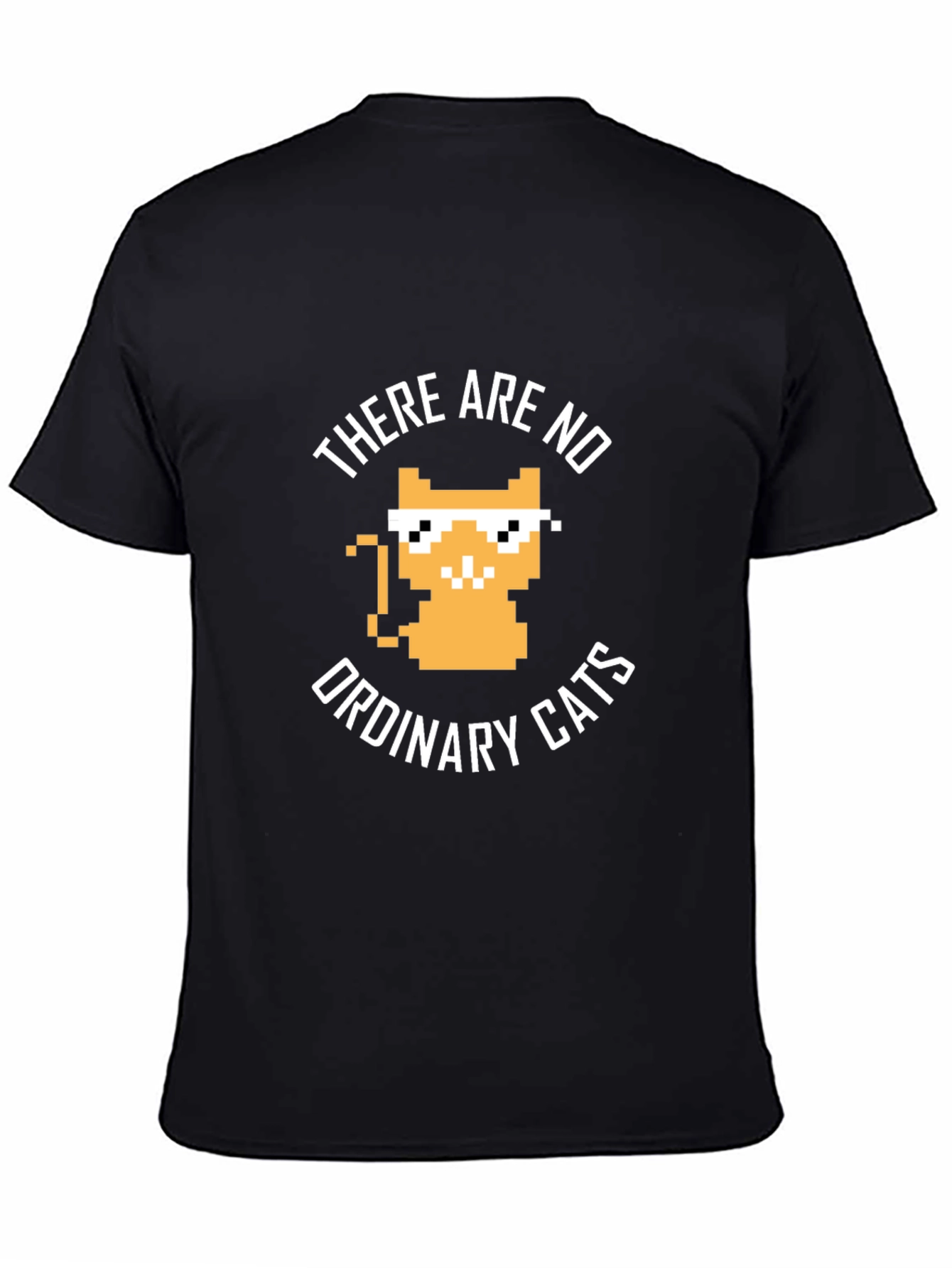 Black There are no ordinary cats t-shirt view 4