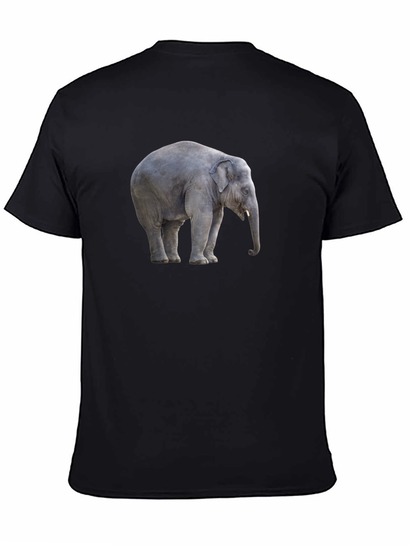 Black Elephant Graphic Tee - Stylish Black Cotton T-Shirt view 4