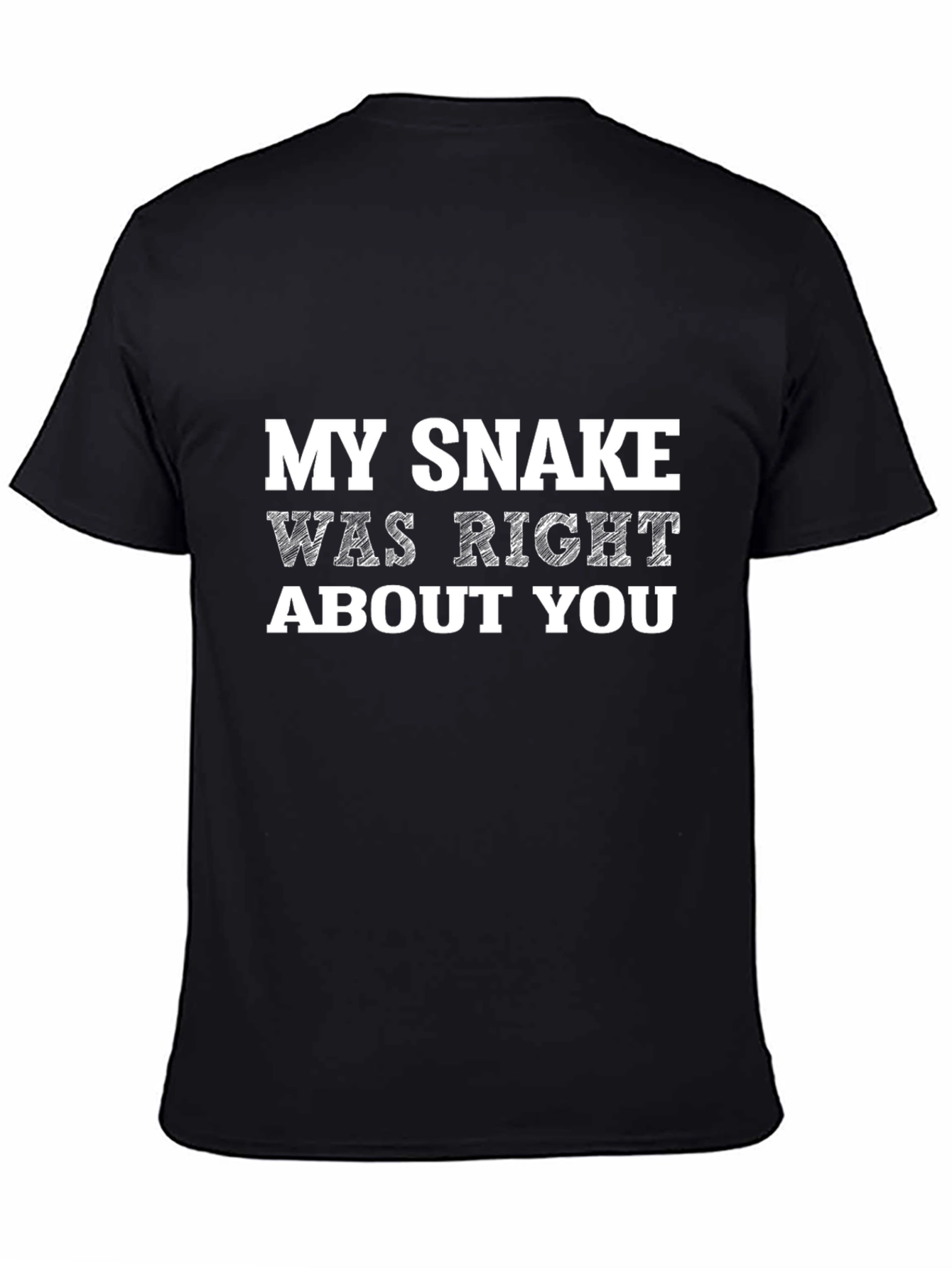 Black My Snake Was Right About You - Graphic Tee view 4
