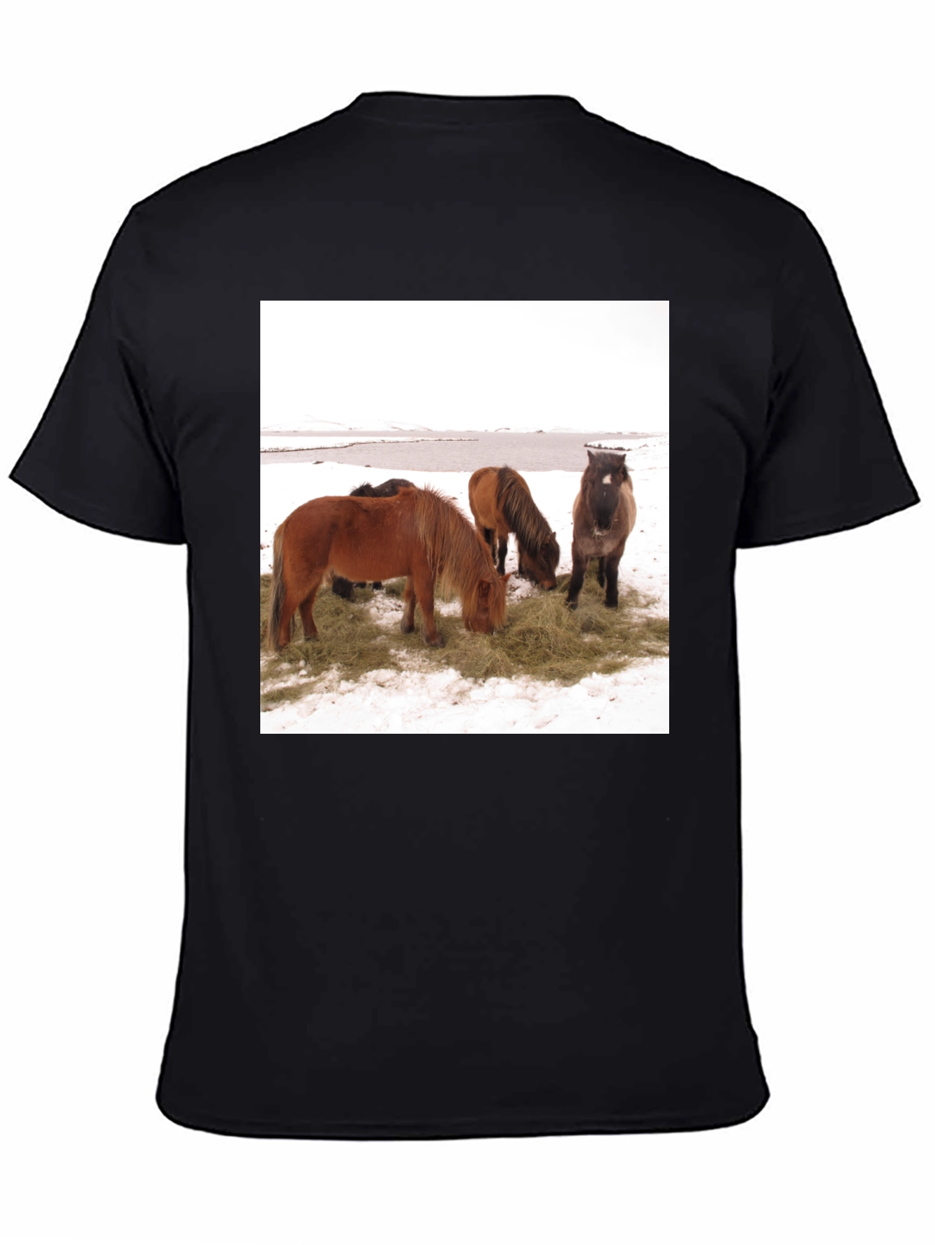 Black Horse Scene Graphic Tee - Unisex Black T-Shirt view 4