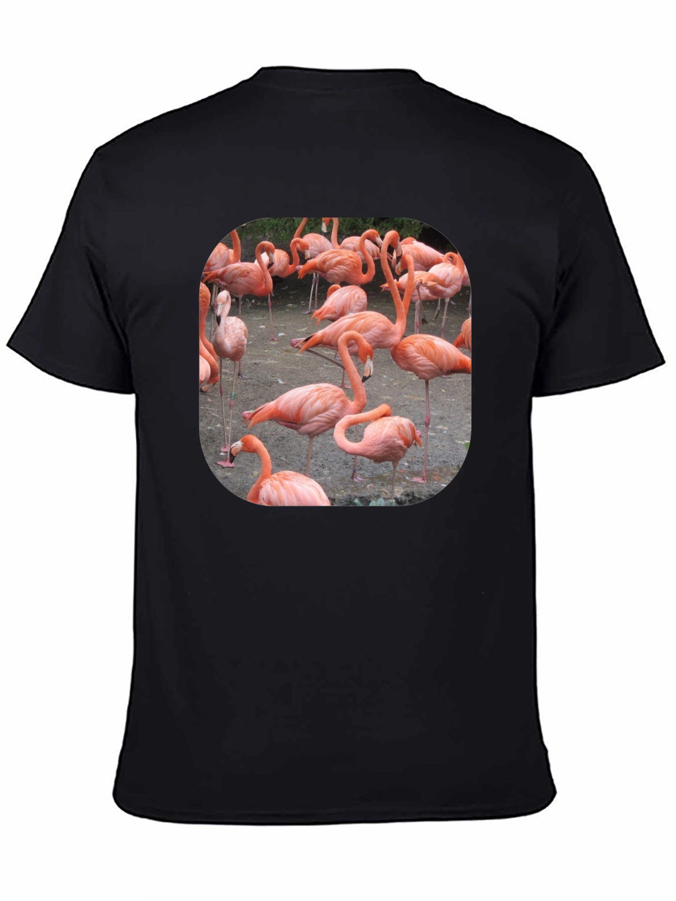 Black Flamingo Graphic Tee - Tropical Bird T-Shirt view 4