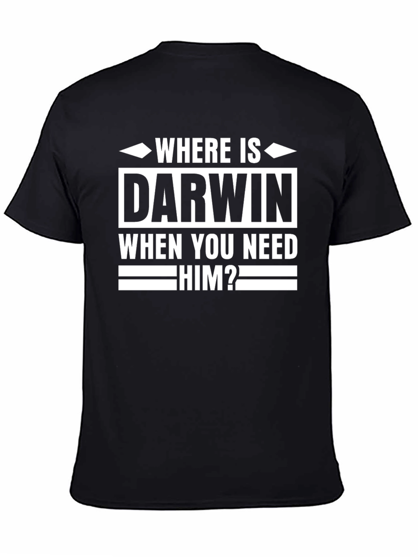 Black Where is Darwin? Graphic Print T-Shirt view 4
