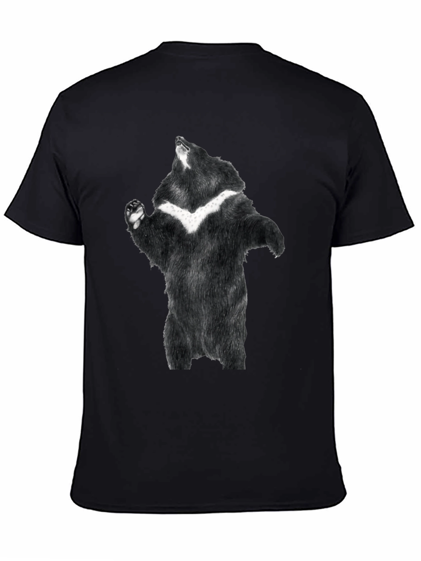 Black Black Bear Graphic Tee - Men's Short Sleeve Shirt view 4