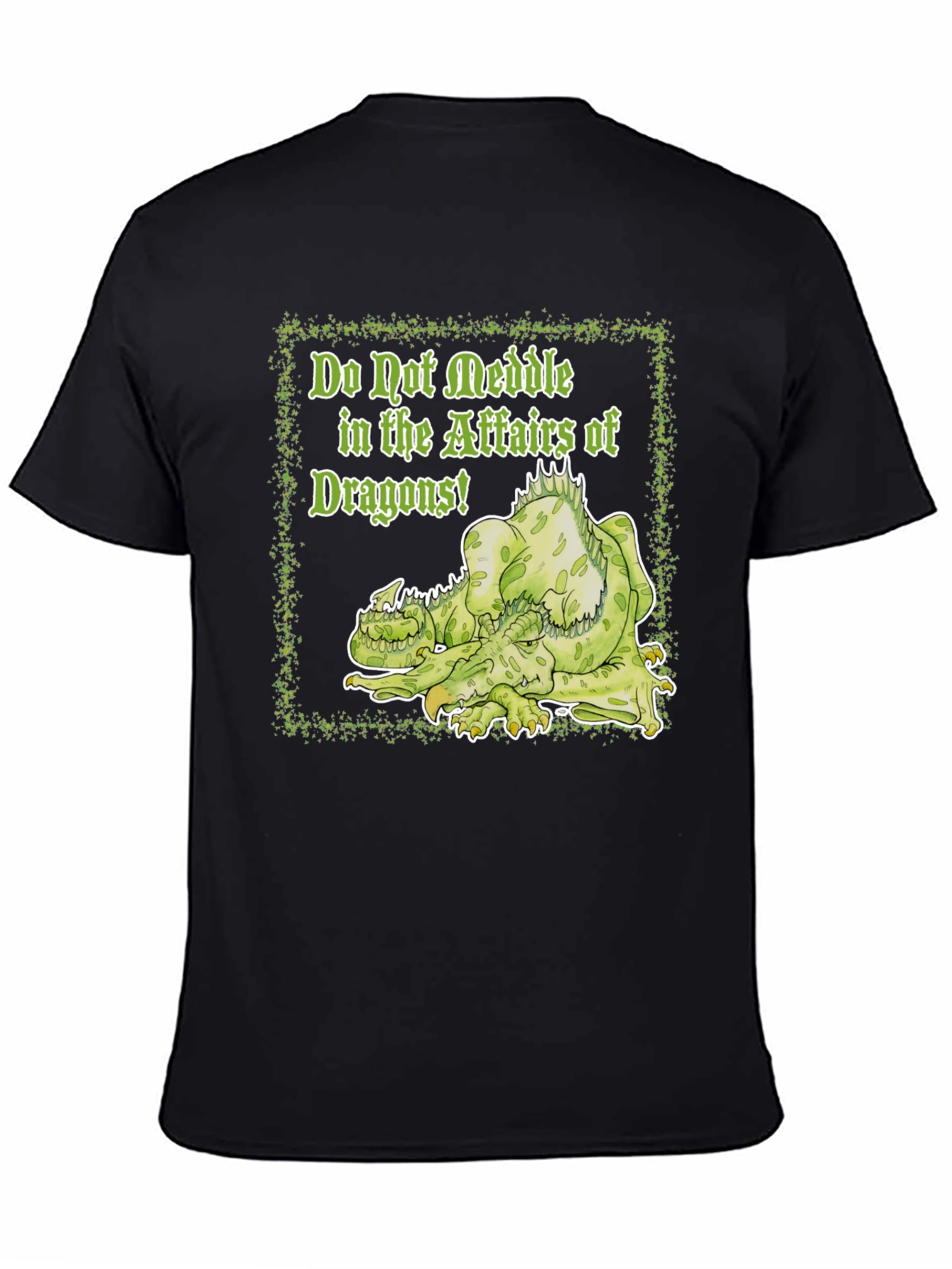 Do Not Meddle Dragons T-Shirt - 4