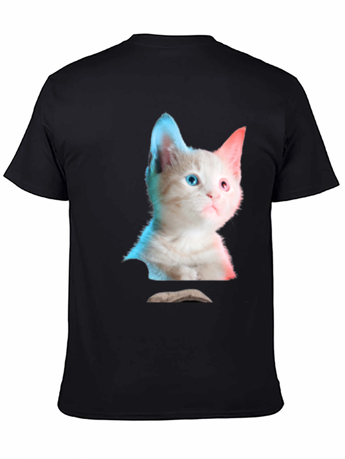 Black Kitten Graphic Tee - Cute Cat Shirt view 4