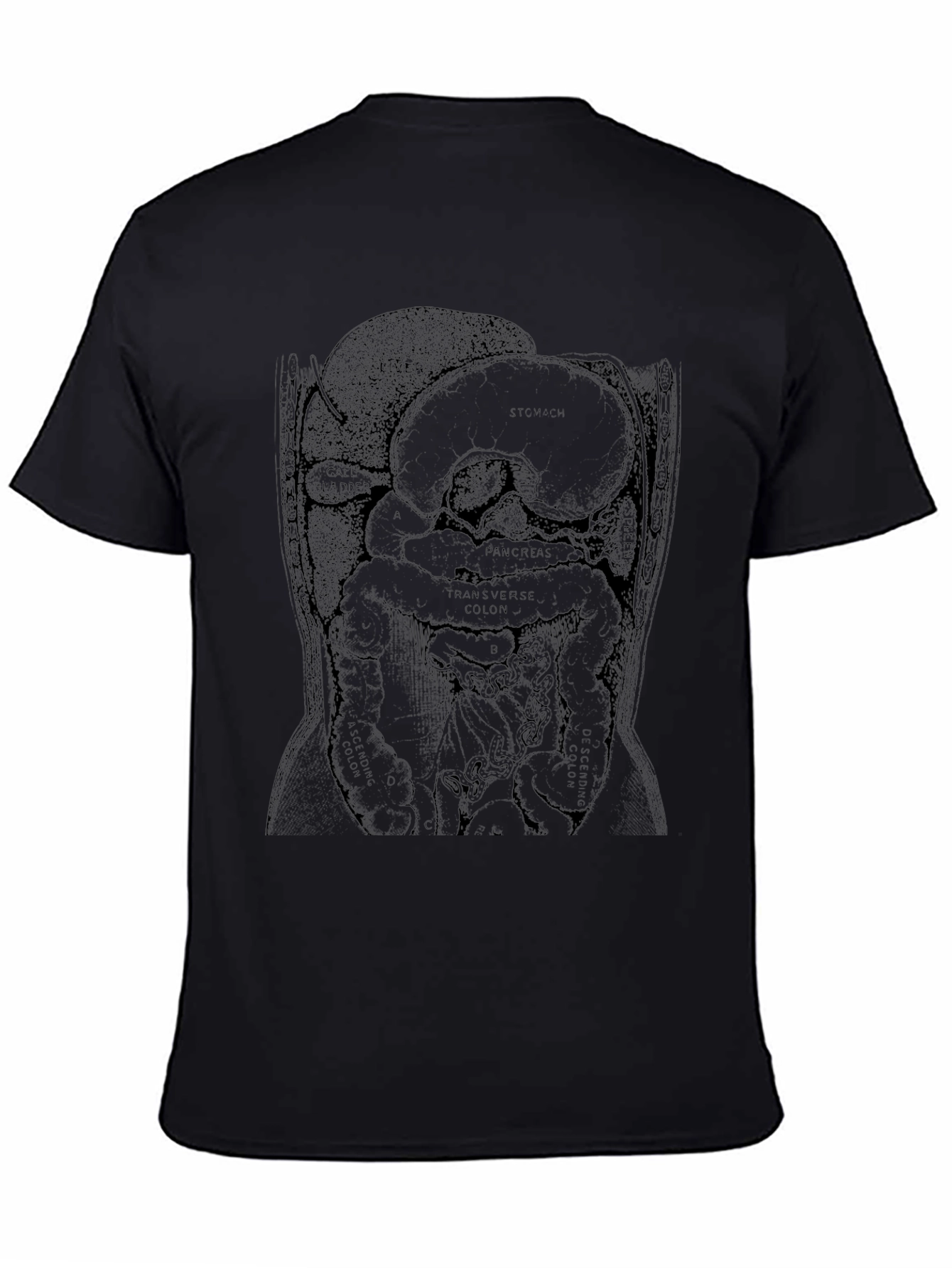 Black Anatomical Diagram T-Shirt - Black view 4