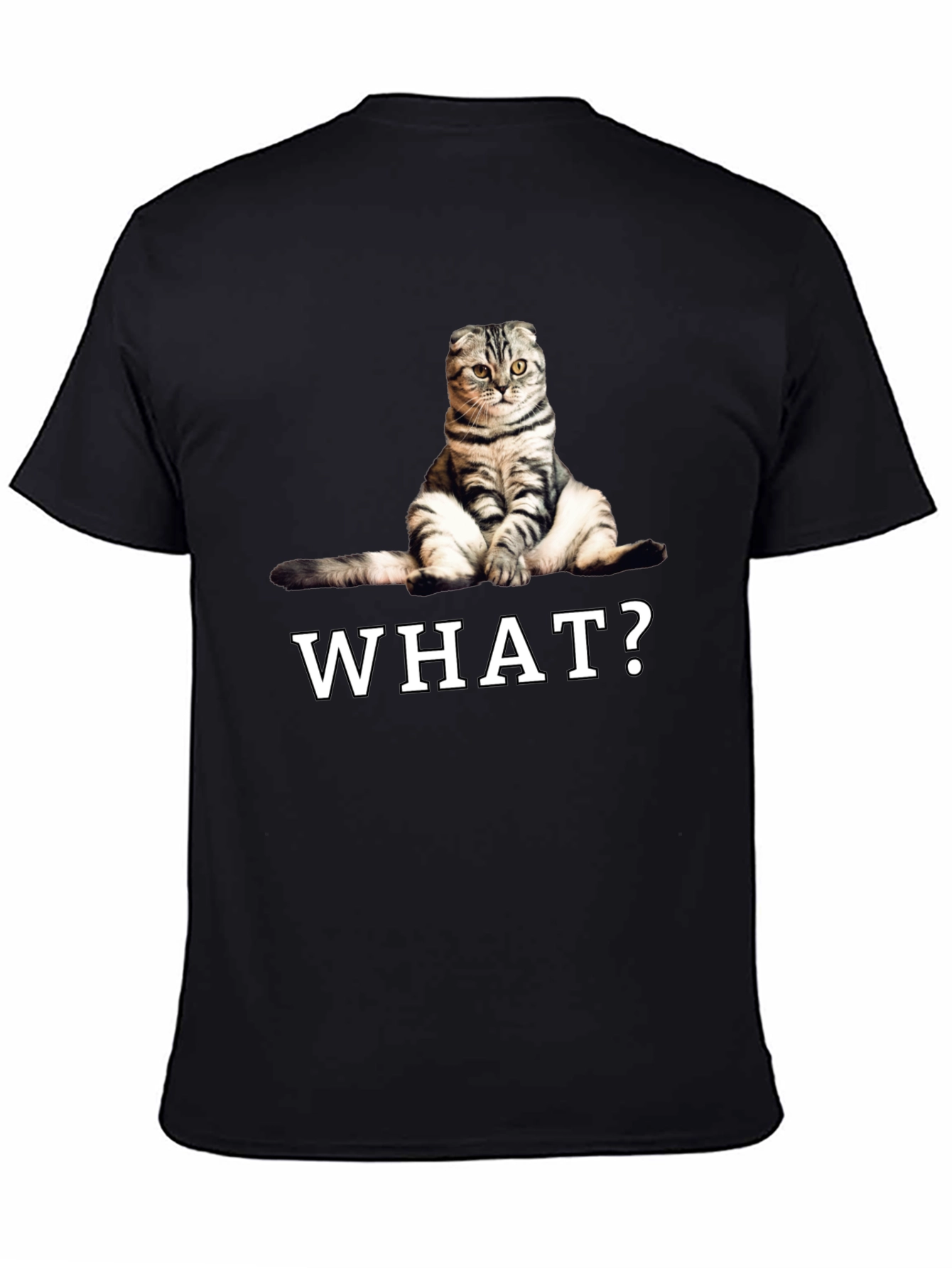 Black Funny Cat "What?" Graphic T-Shirt view 4