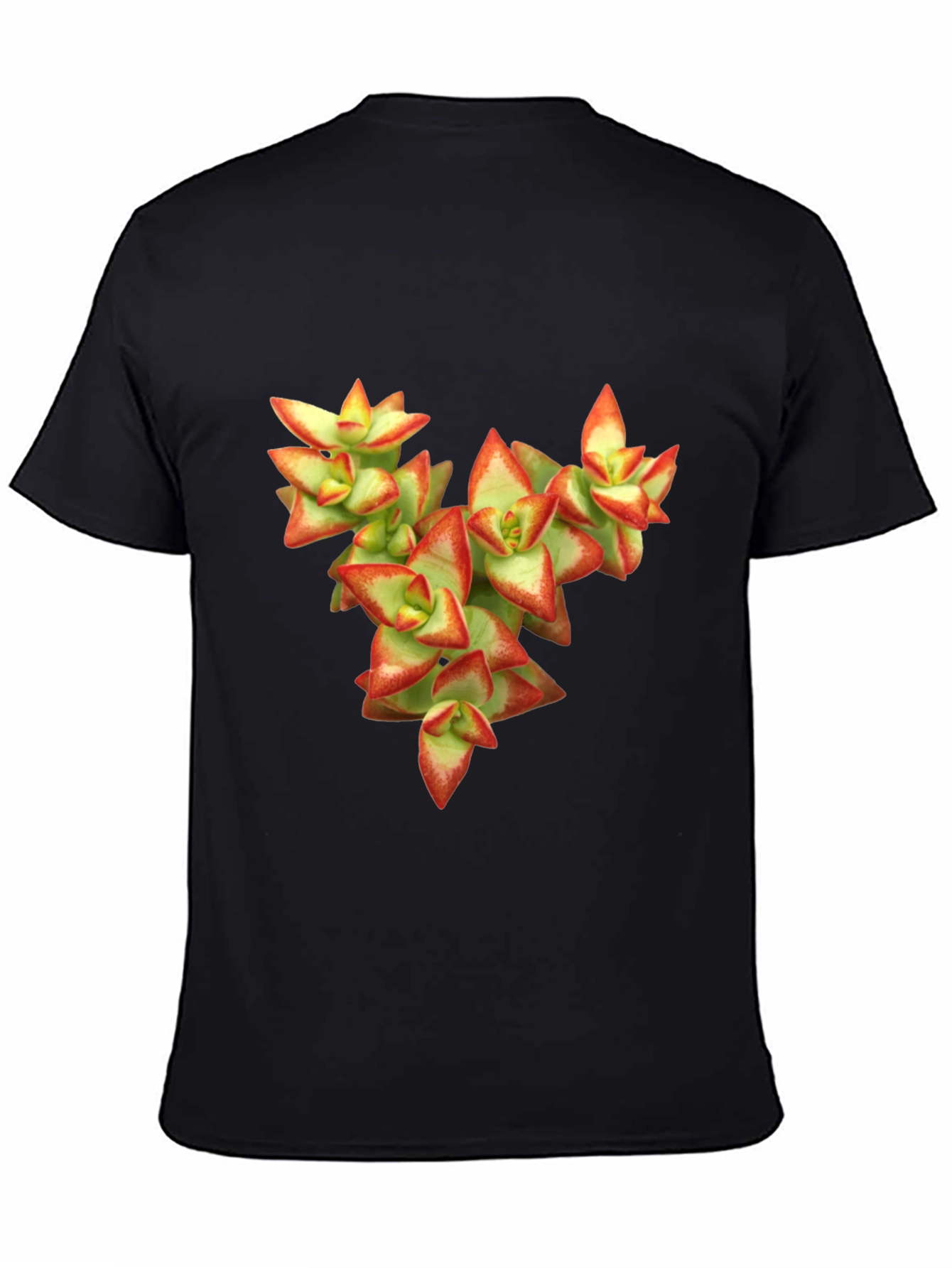 Black Succulent Graphic T-Shirt - Nature Inspired Tee view 4