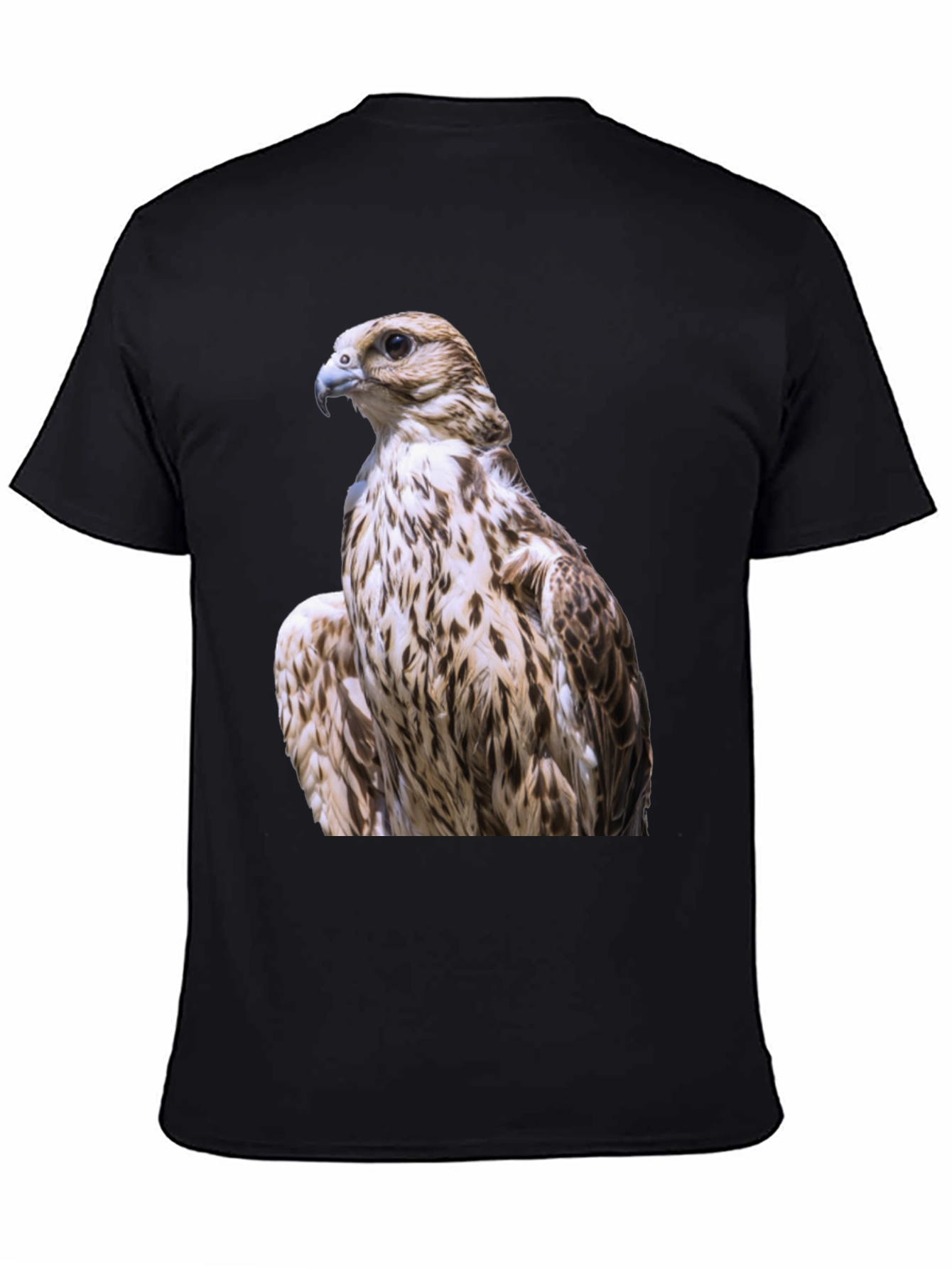 Black Falcon Graphic Tee - Black Cotton Blend view 4