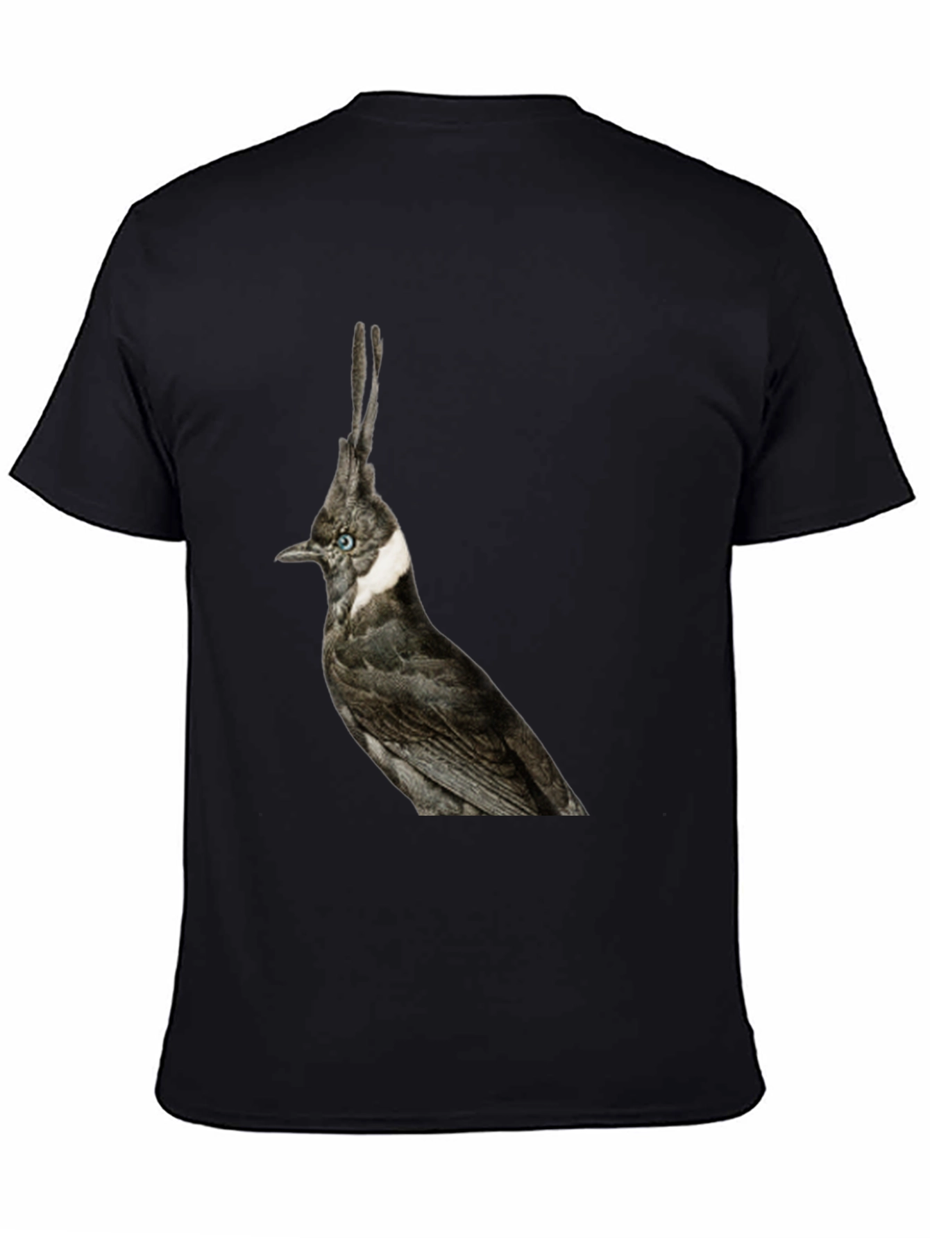 Black Crested Bird Graphic T-Shirt - Unique Style view 4