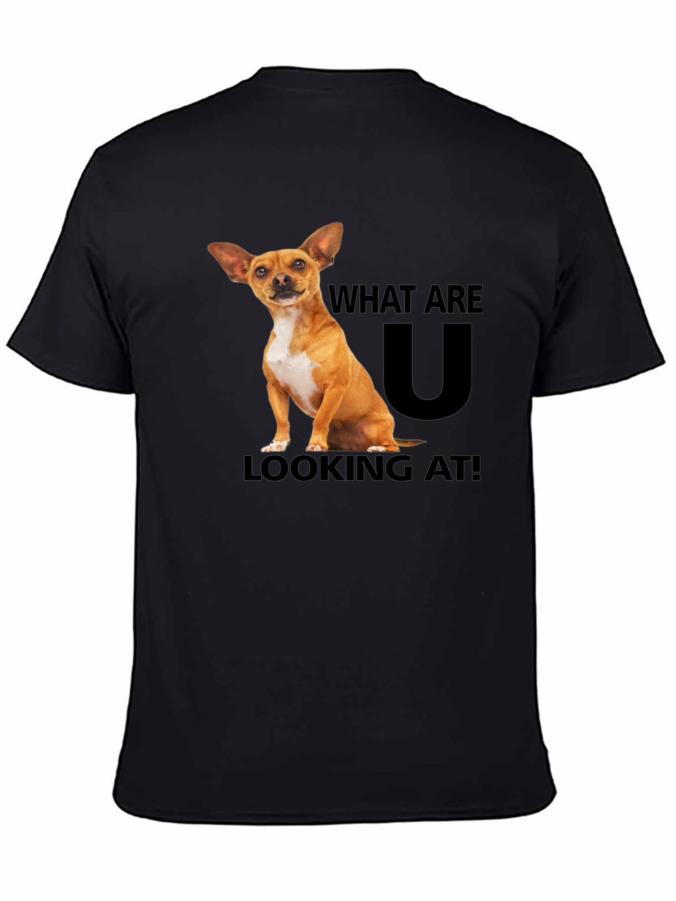 Black Dog T-Shirt: What Are You Looking At? view 4
