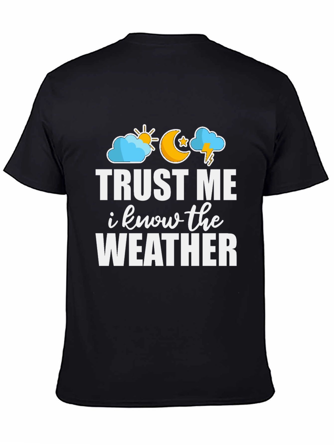 Black Trust Me I Know The Weather Graphic Tee view 4