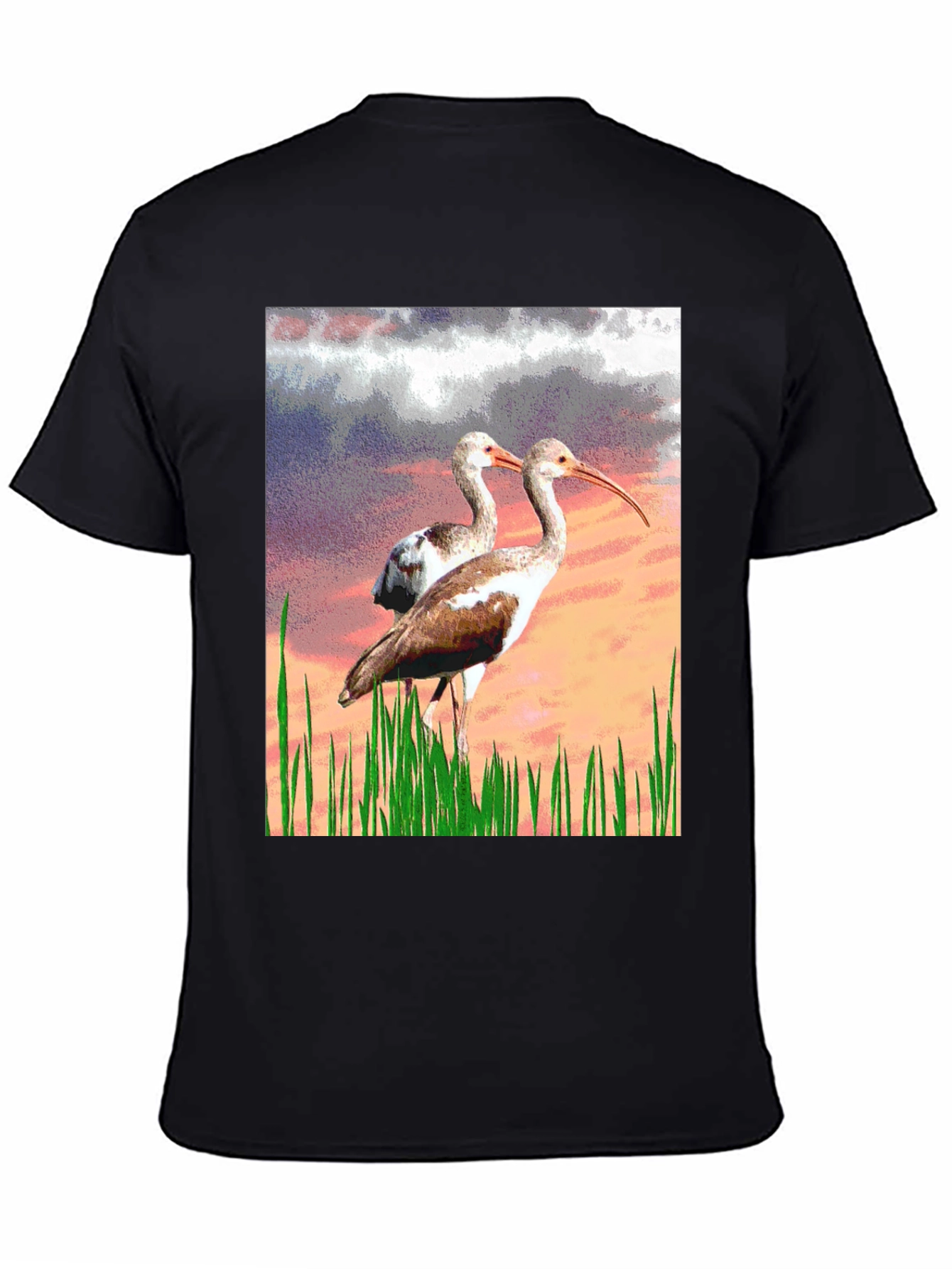 Black Ibis Bird Graphic Print Black T-Shirt view 4