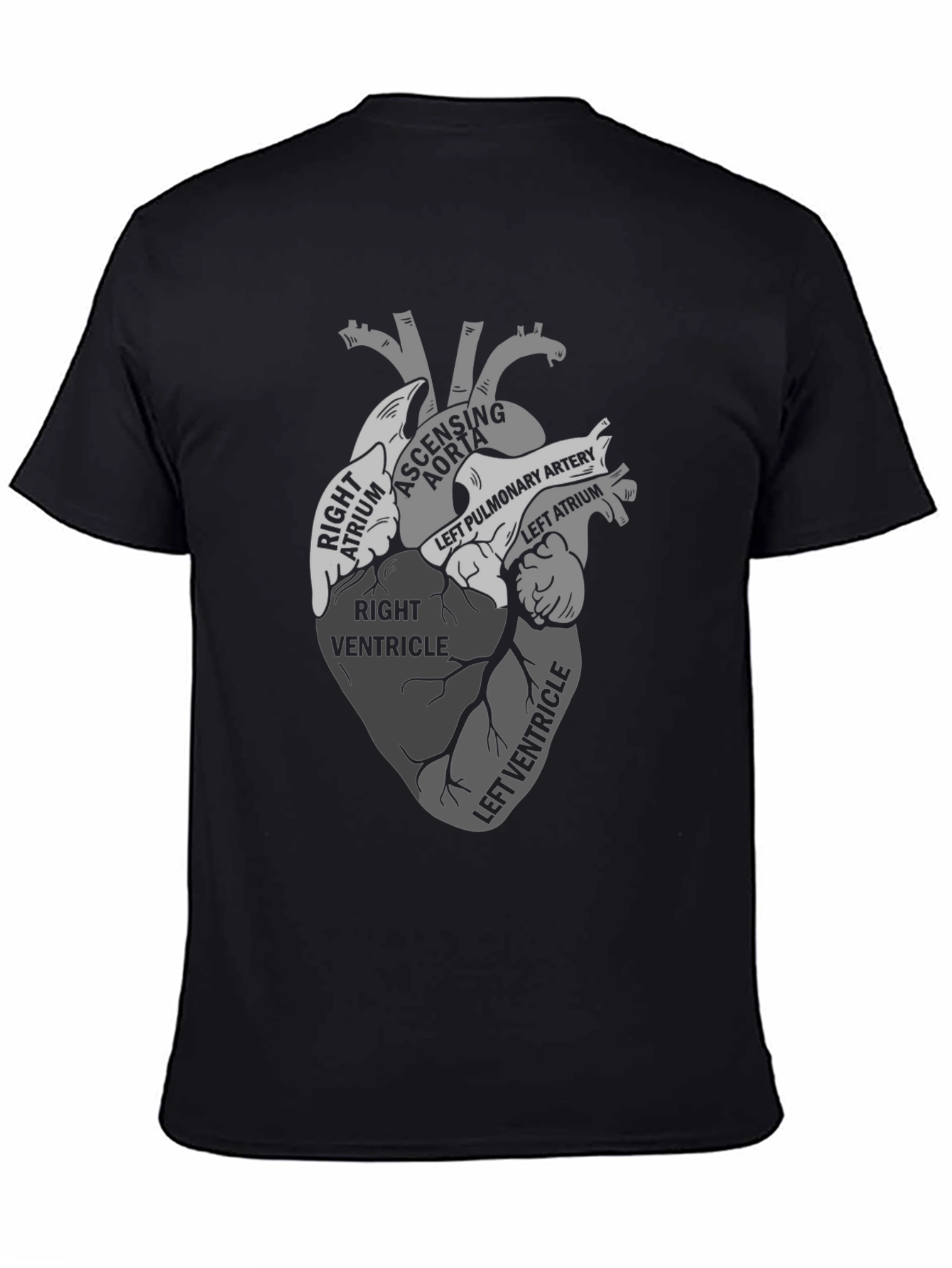 Black Anatomical Heart Diagram T-Shirt view 4