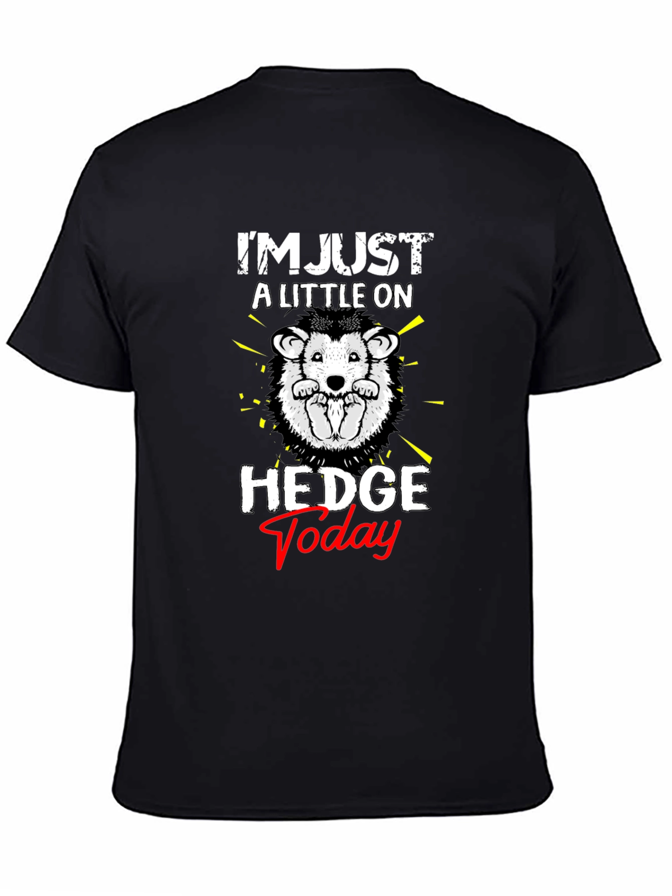 Black Hedgehog 'Hedge Today' Graphic T-Shirt view 4