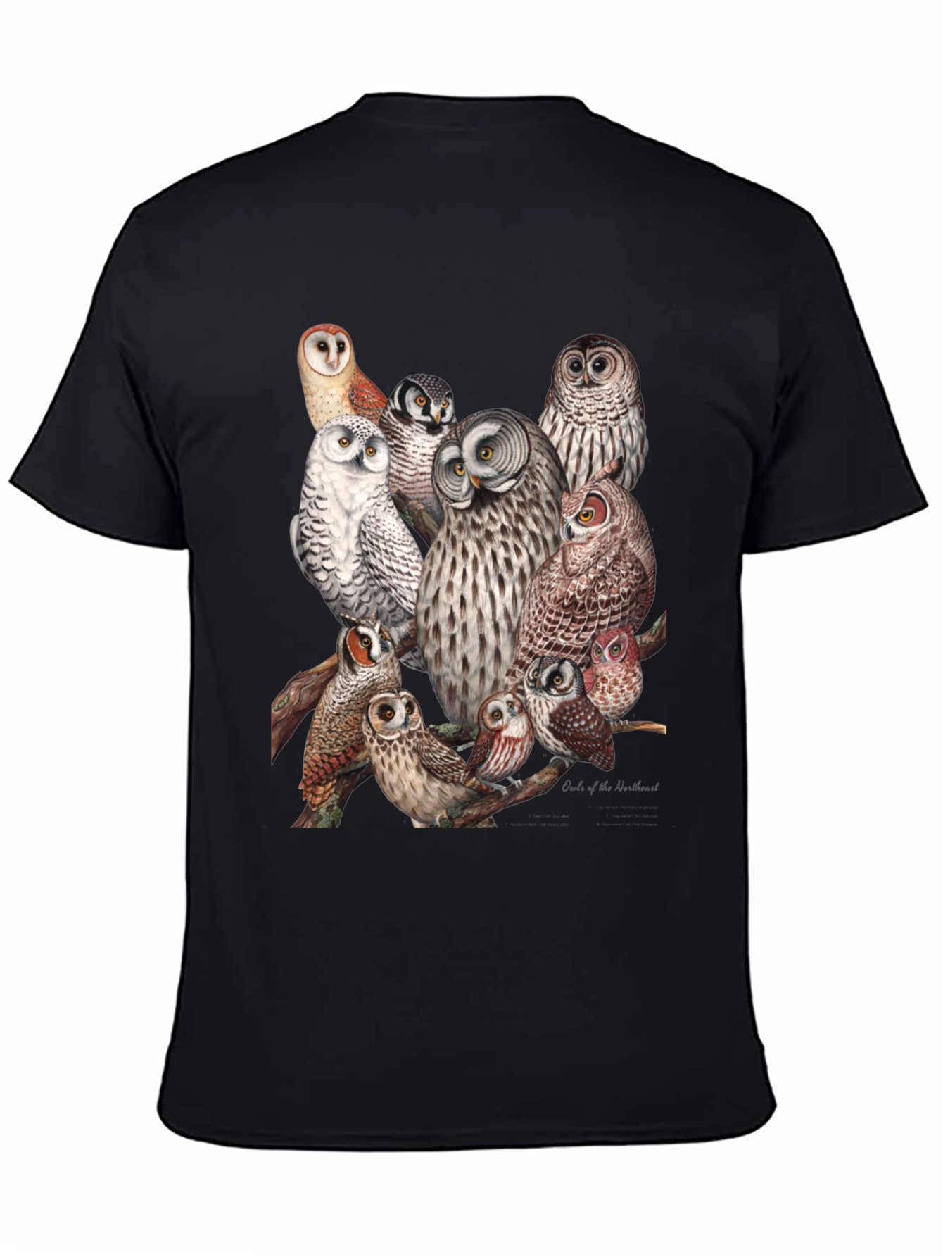 Black Owl Print Black T-Shirt view 4