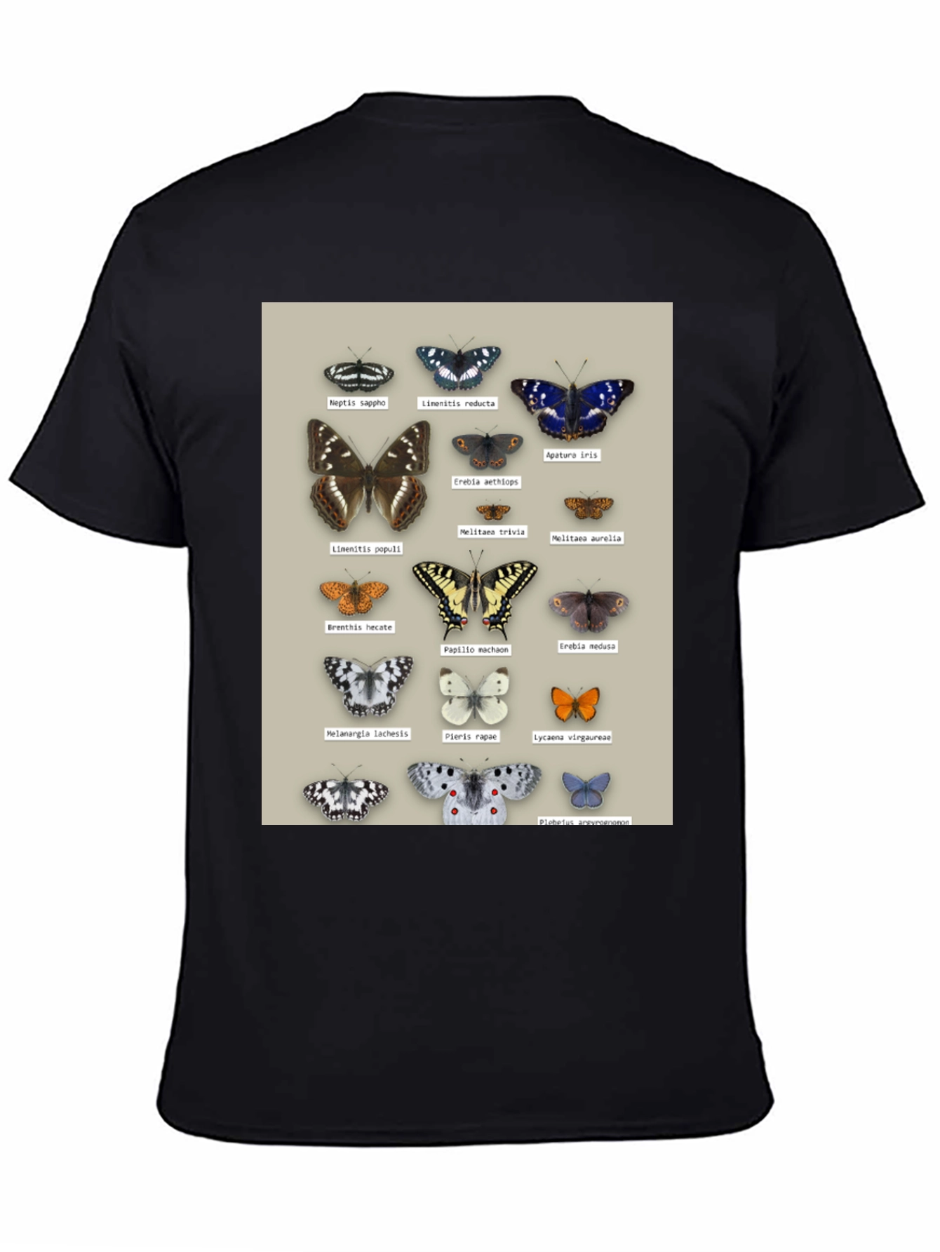 Black Butterfly Print T-Shirt | Nature Lover Apparel view 4