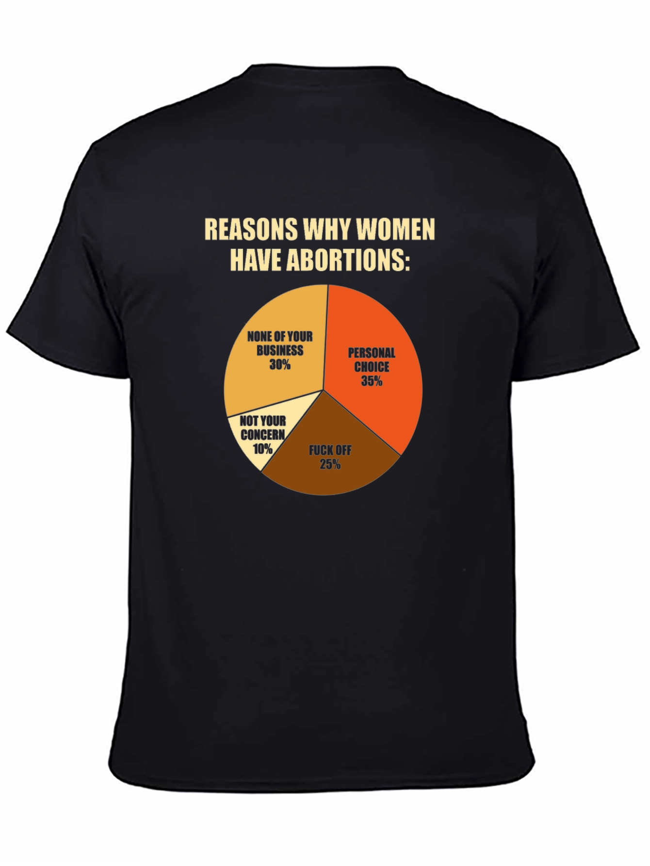 Black Reasons Why Women Have Abortions T-Shirt view 4