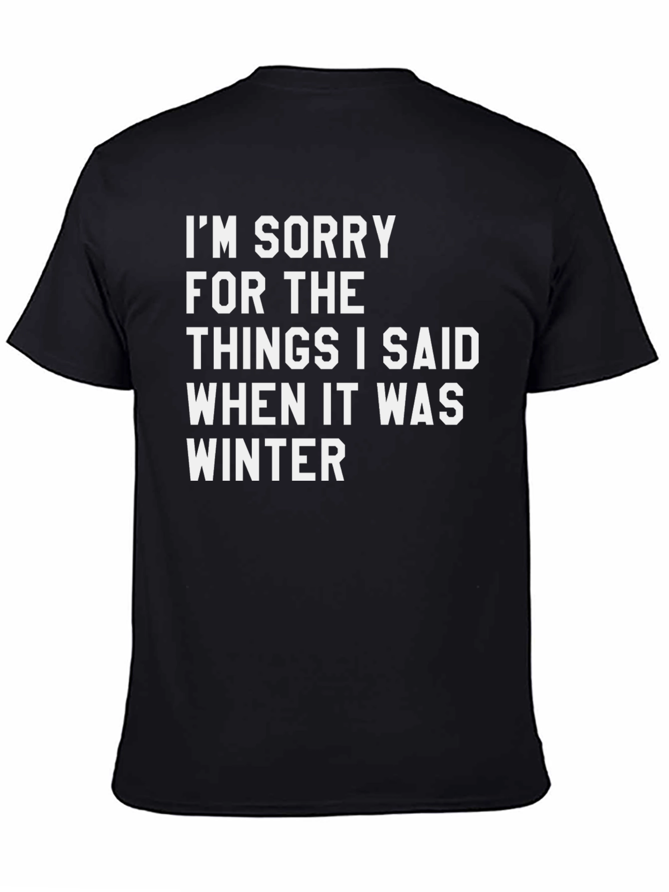 Black Funny Winter Apology T-Shirt view 4