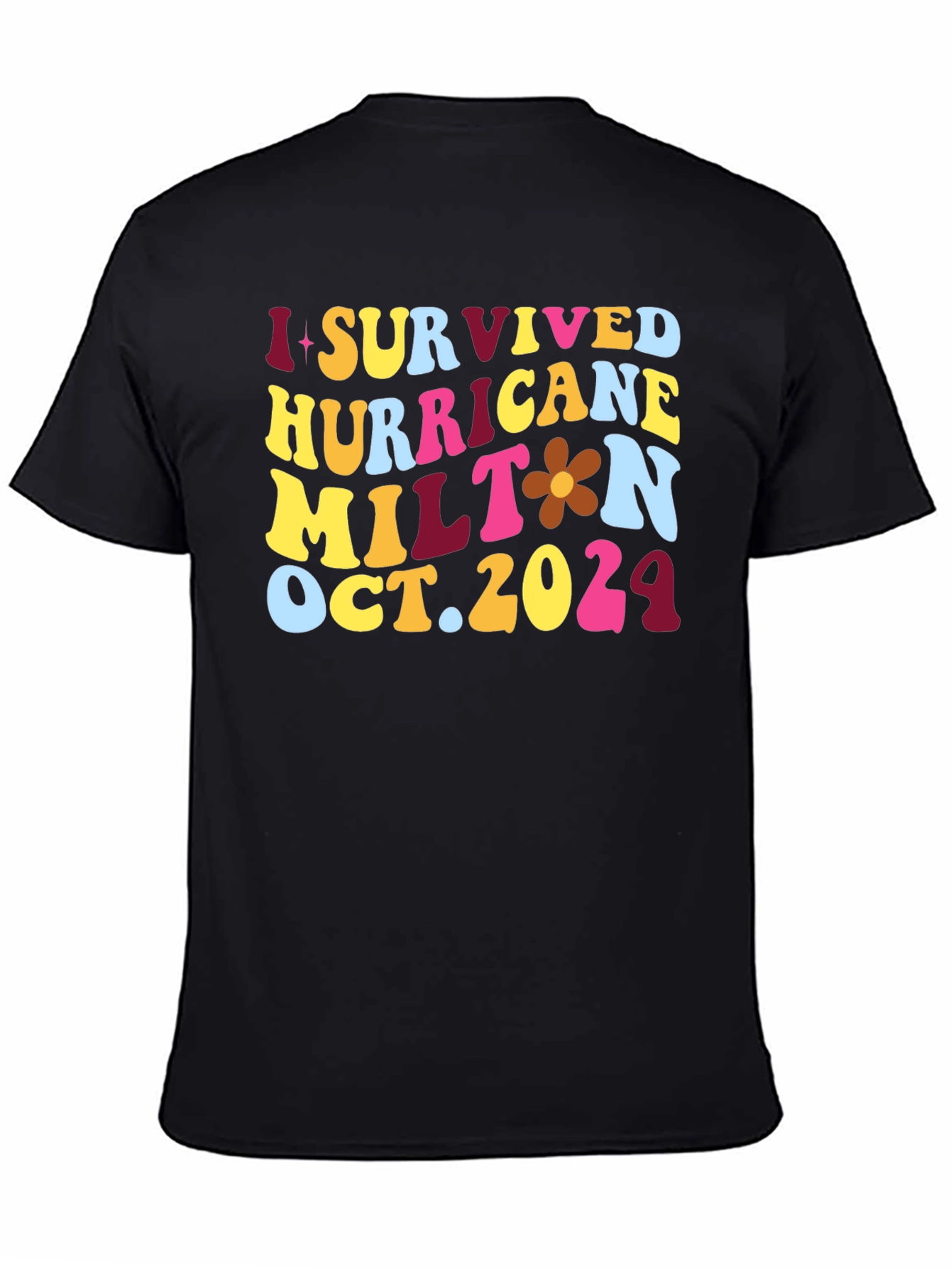 Black I Survived Hurricane Milton T-Shirt view 4