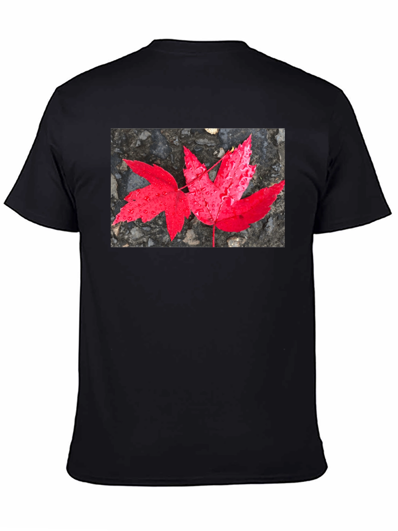 Black Red Maple Leaf Graphic T-Shirt view 4