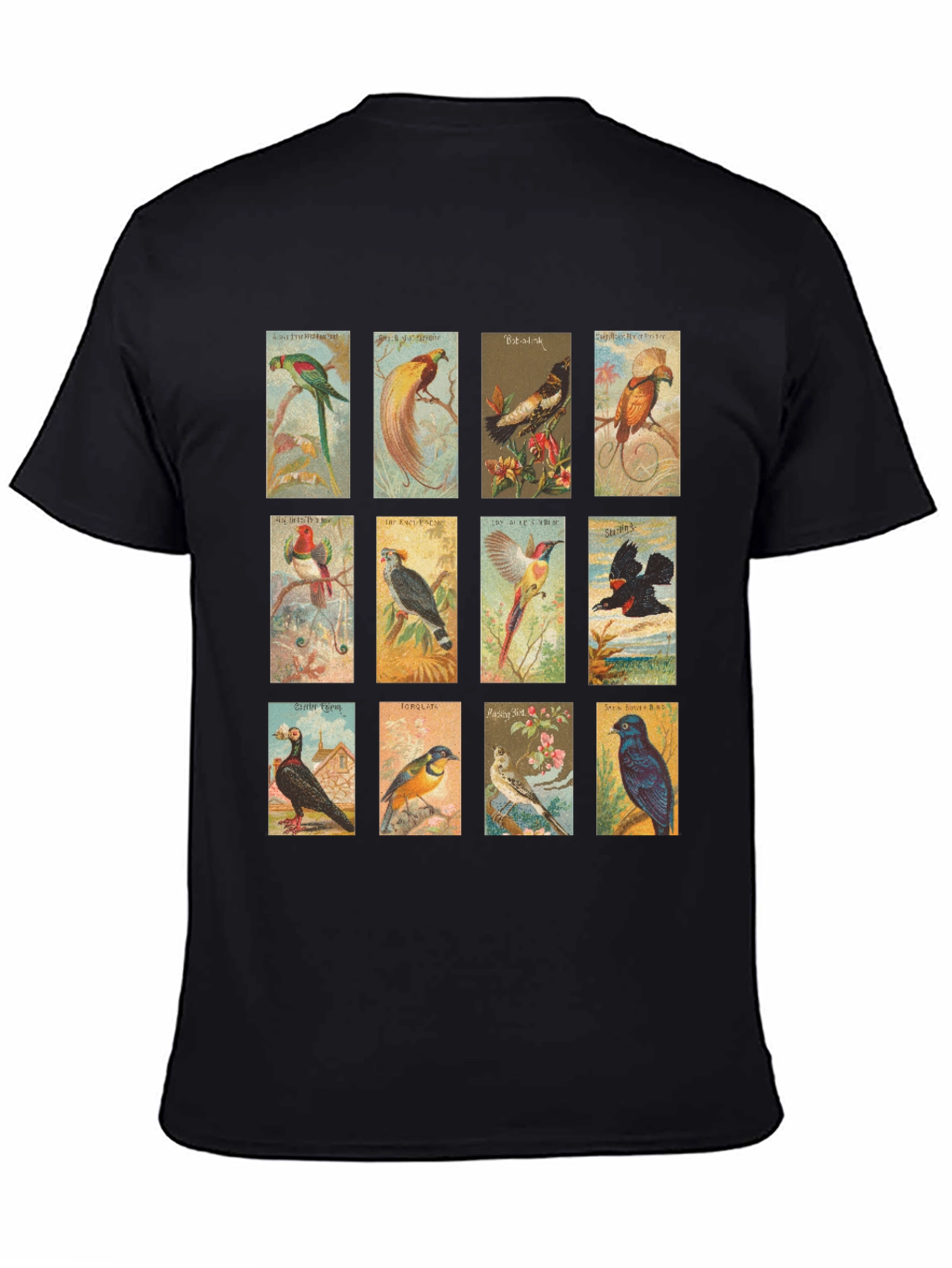 Black Vintage Birds Black T-Shirt view 4