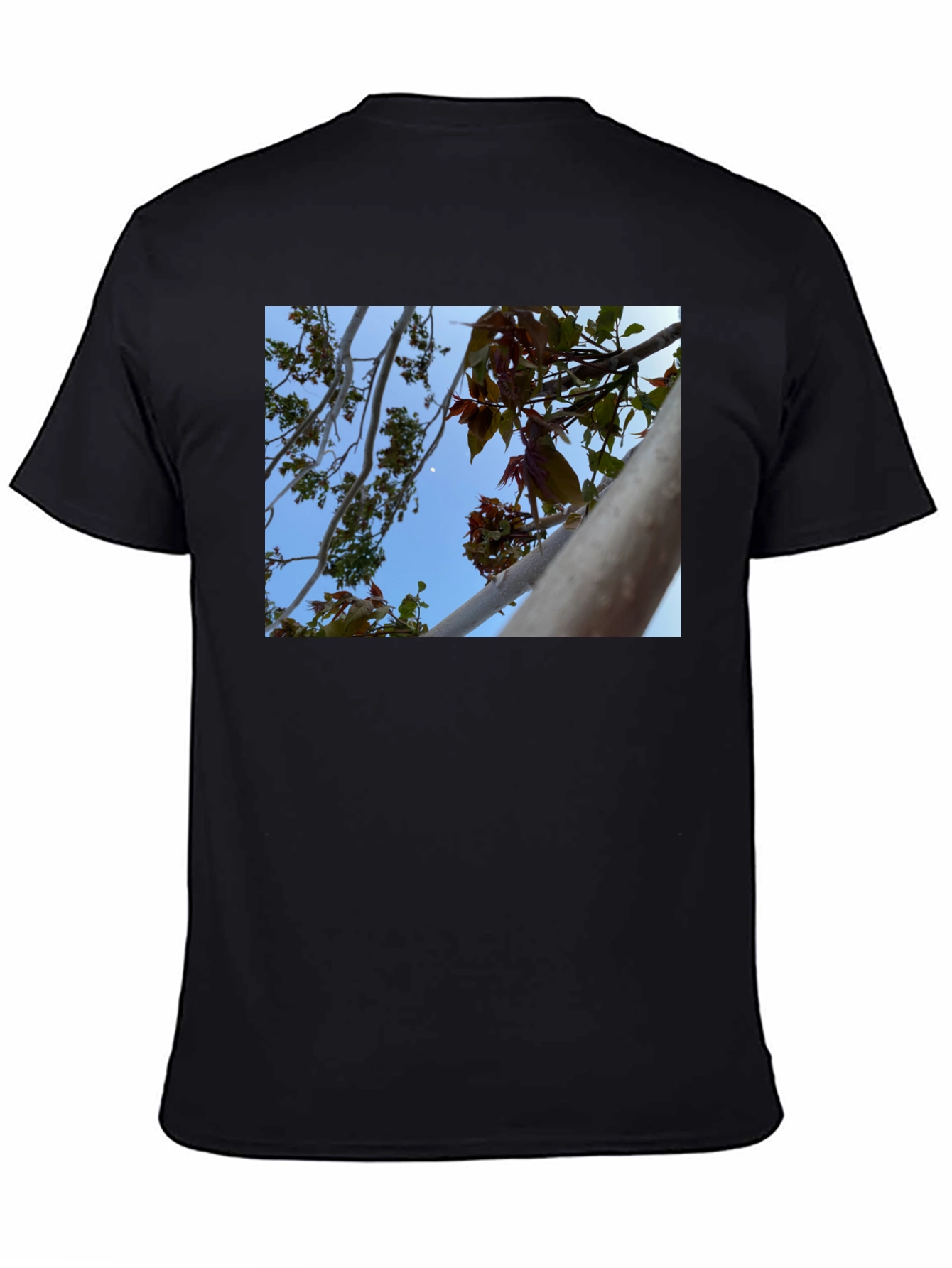 Black Nature View T-Shirt - Branches & Sky Design view 4