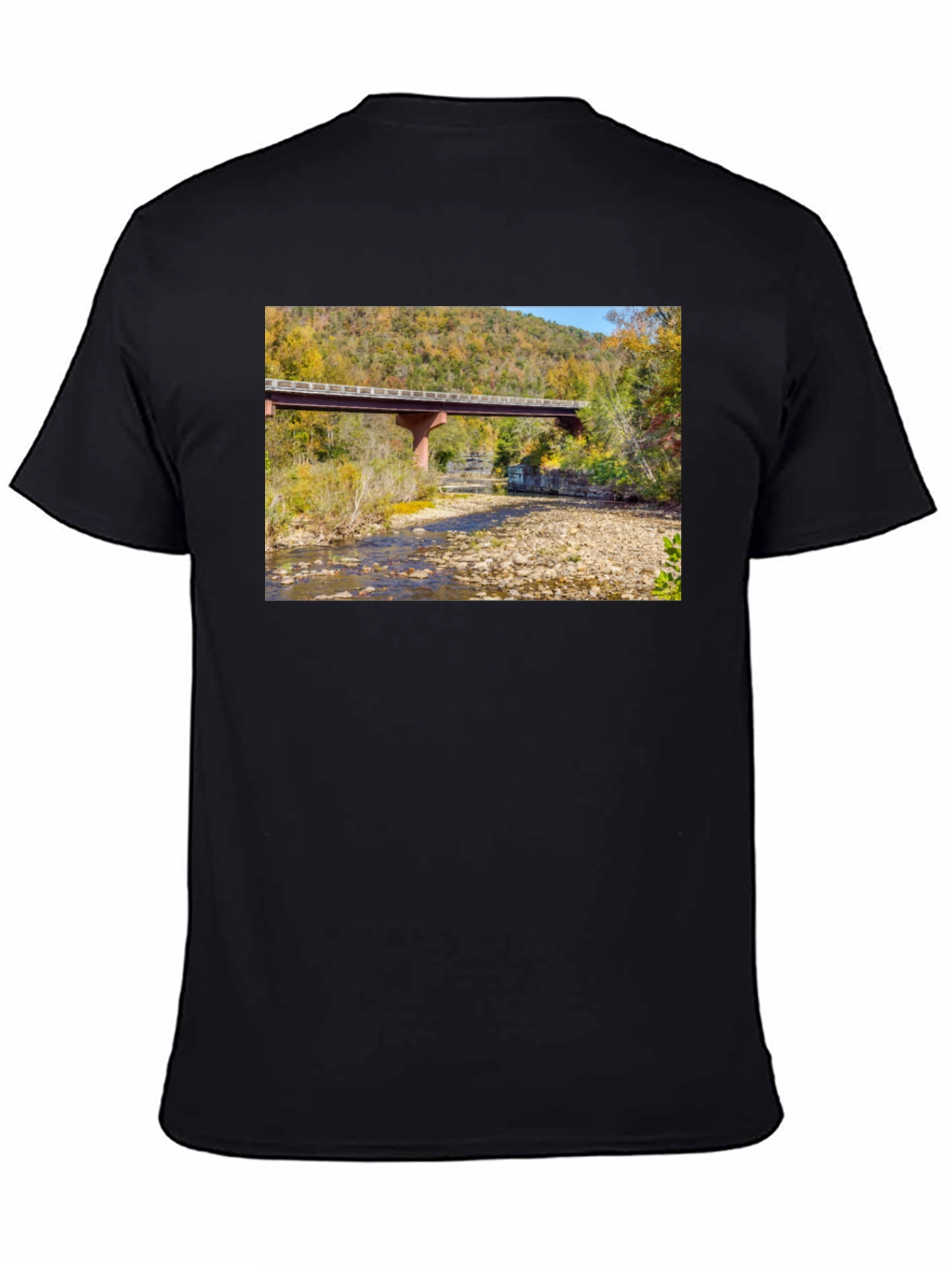 Black Nature Bridge Graphic Tee - Black Cotton Blend view 4