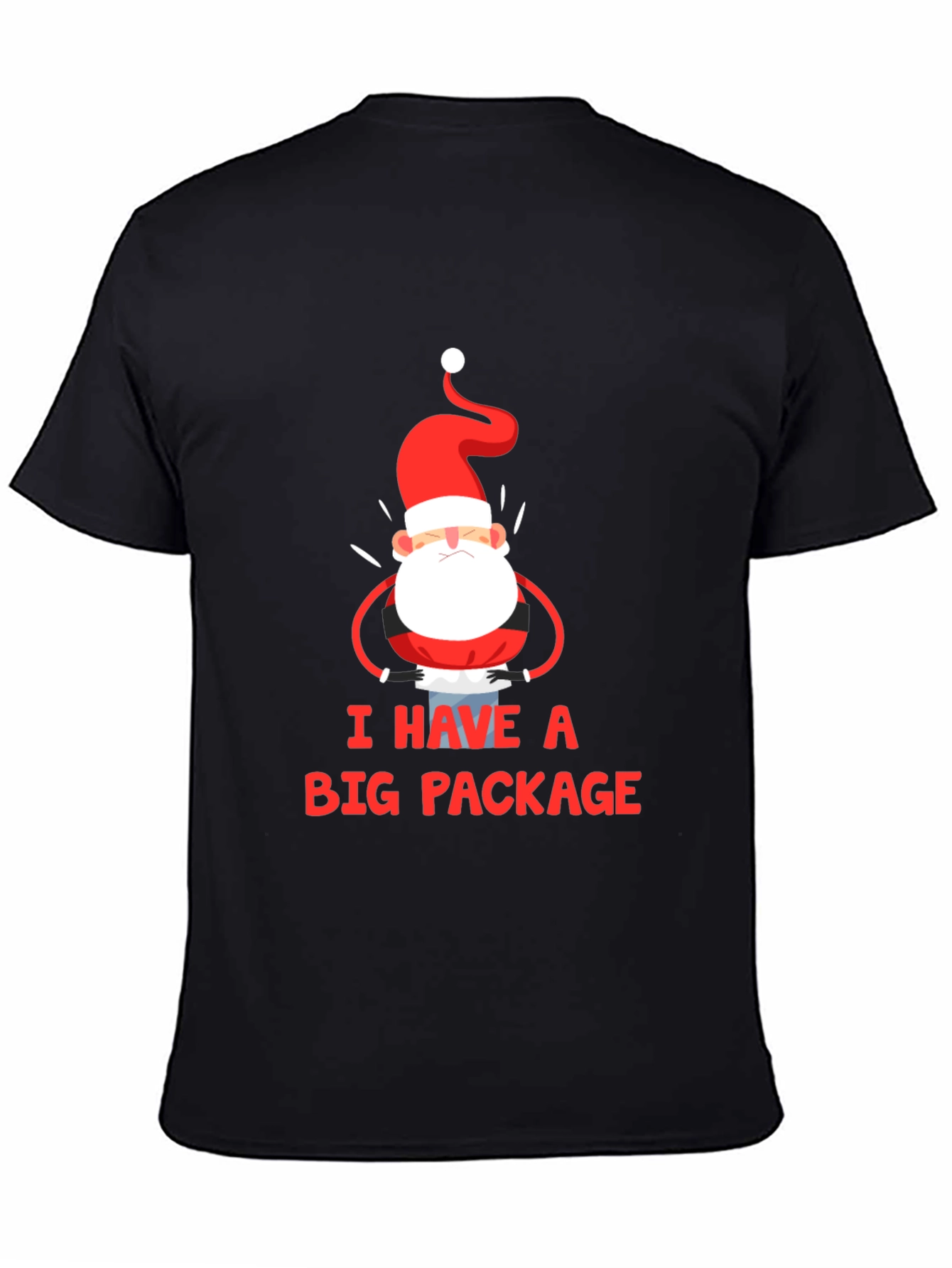 Black I Have a Big Package Graphic Tee Santa Christmas Holiday Shirt view 4
