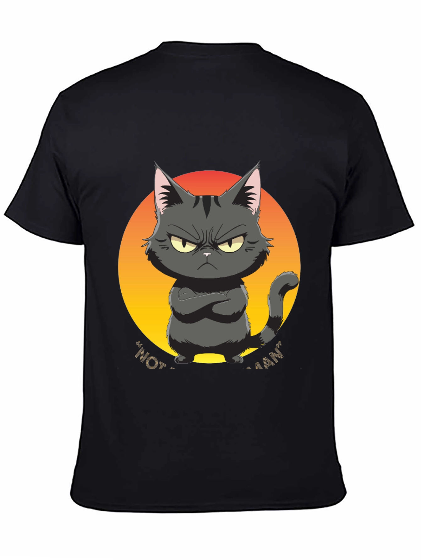 Black Grumpy Cat Graphic Tee - "Not a Fan" Black T-Shirt view 4