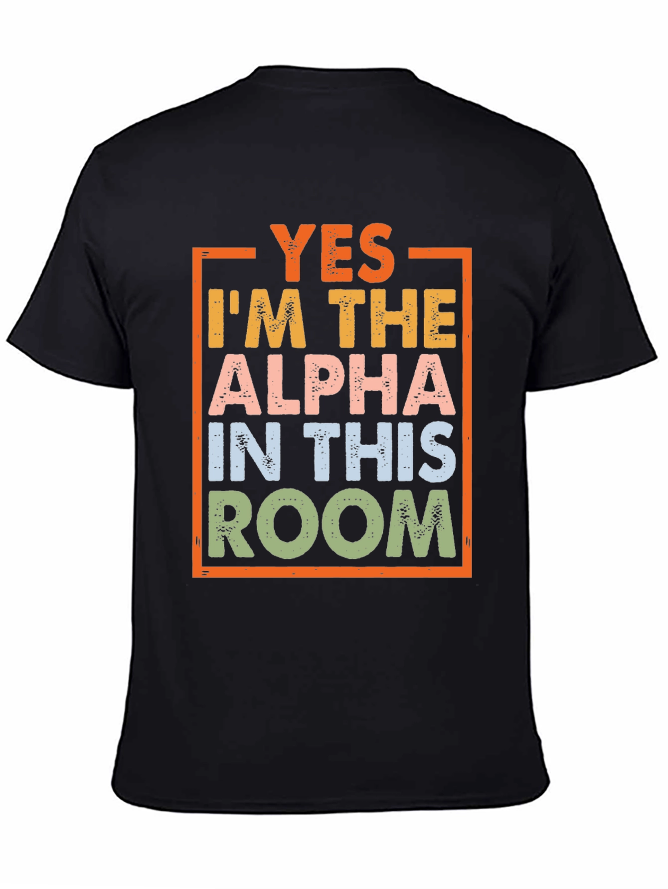 Black Alpha In This Room Graphic Tee view 4