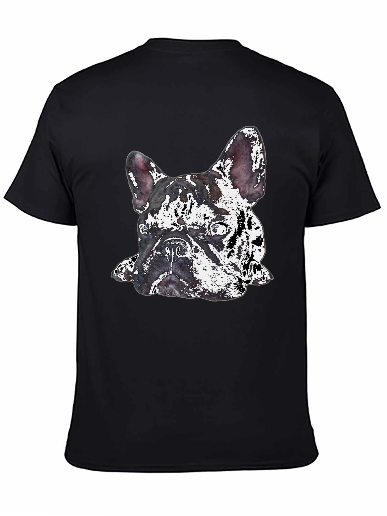 Black Dog Graphic Print Crew Neck T-Shirt view 4