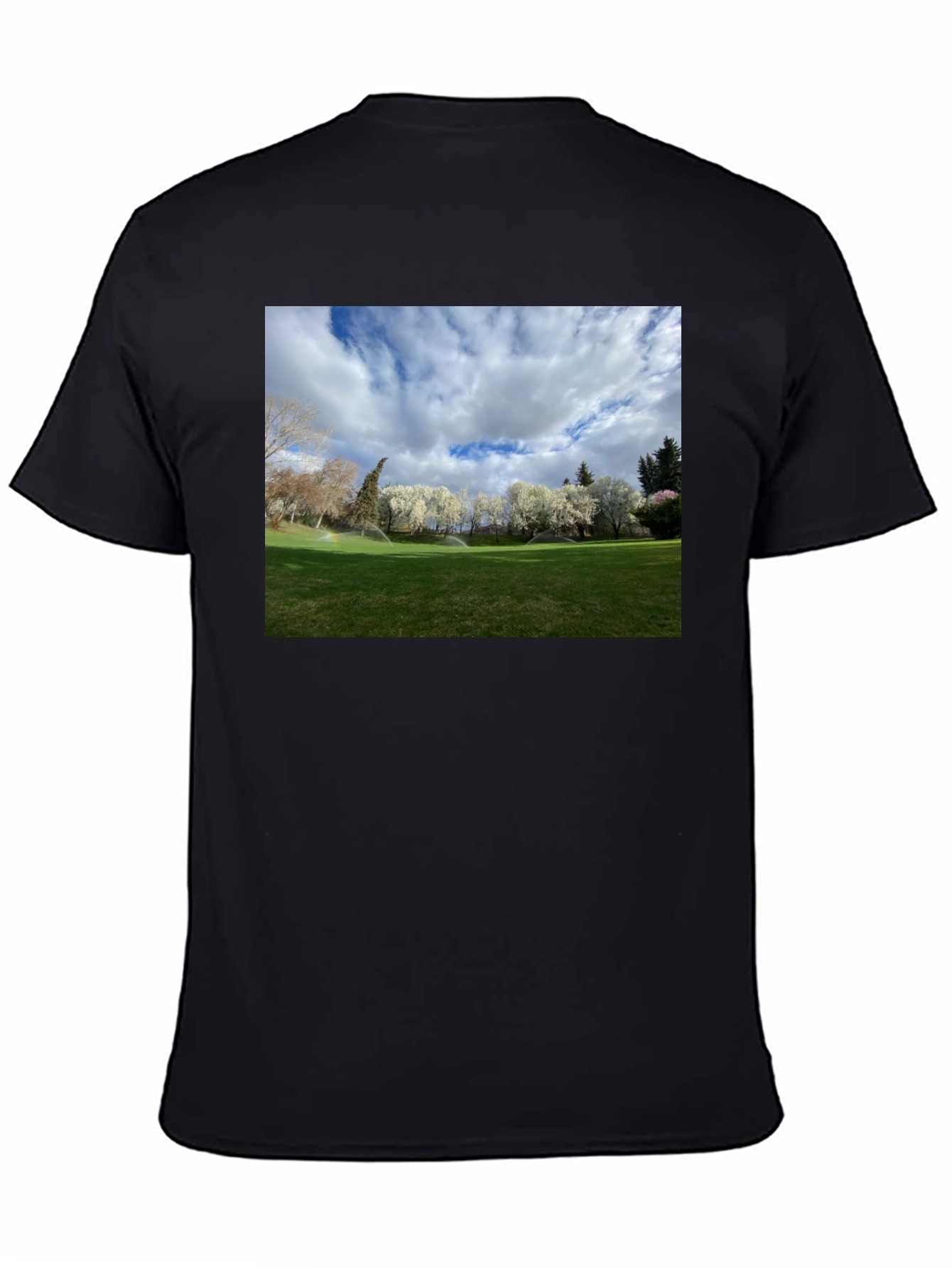 Black Scenic Landscape Graphic Tee - Cotton Comfort view 4
